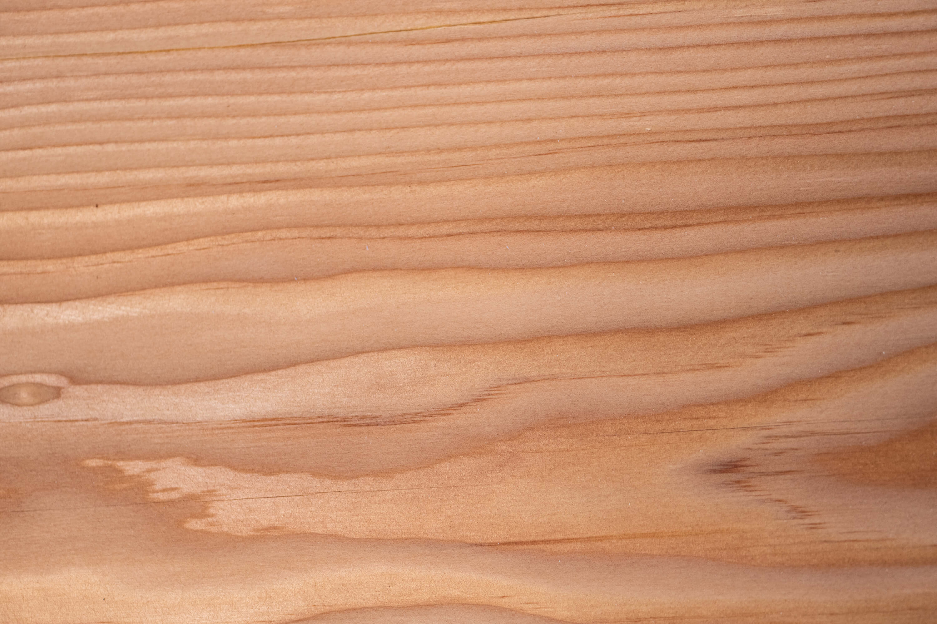 Douglas Fir