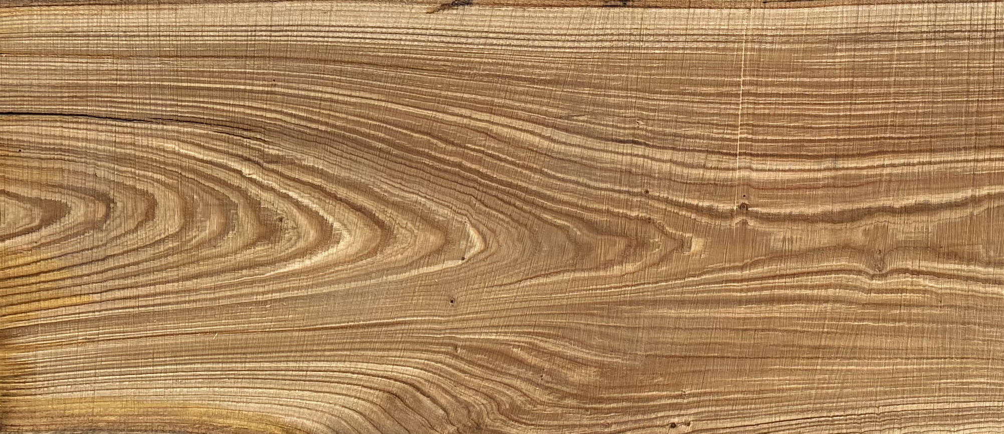 Silver Chestnut