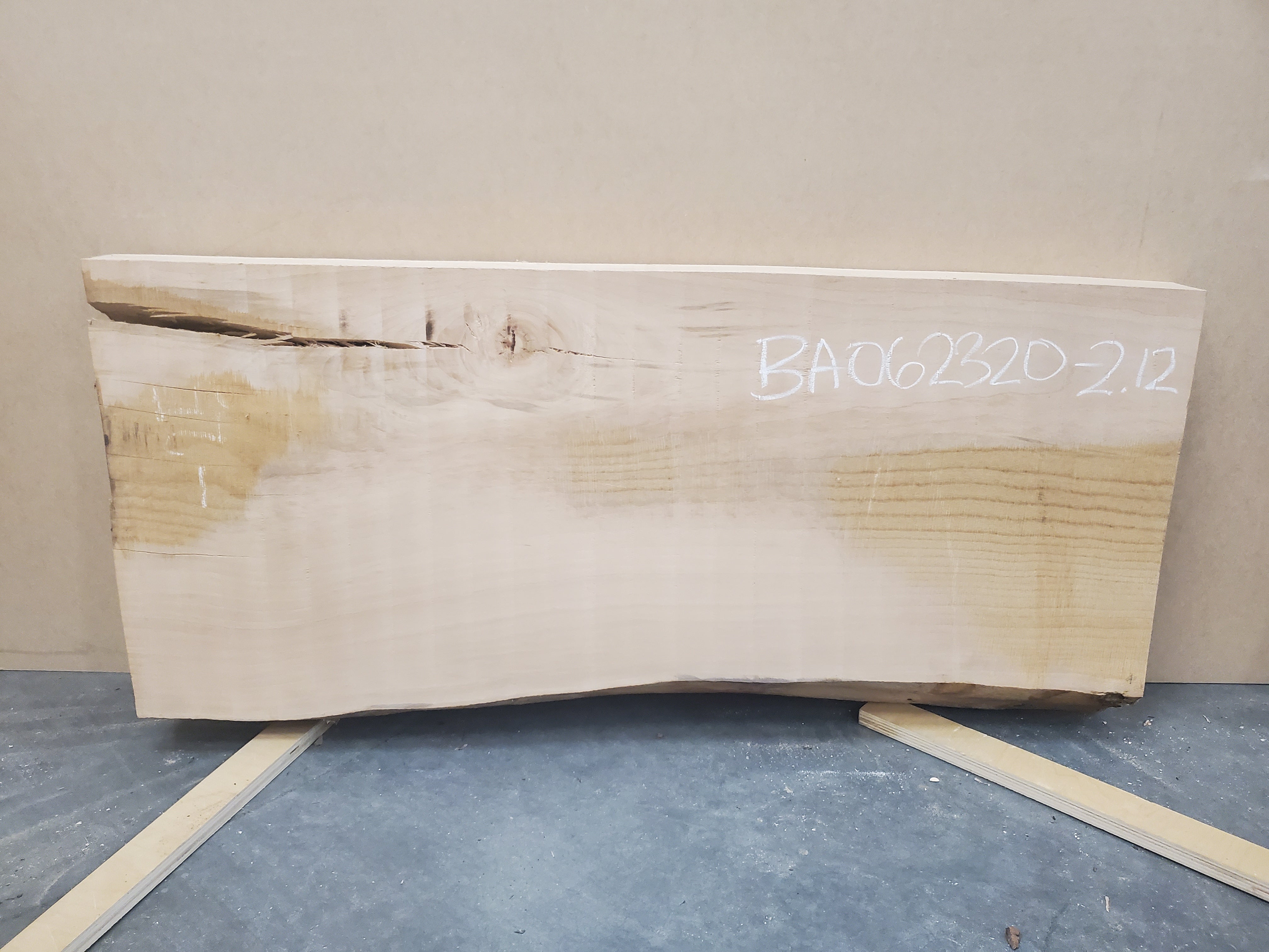 American Beech - BA062320-2.12