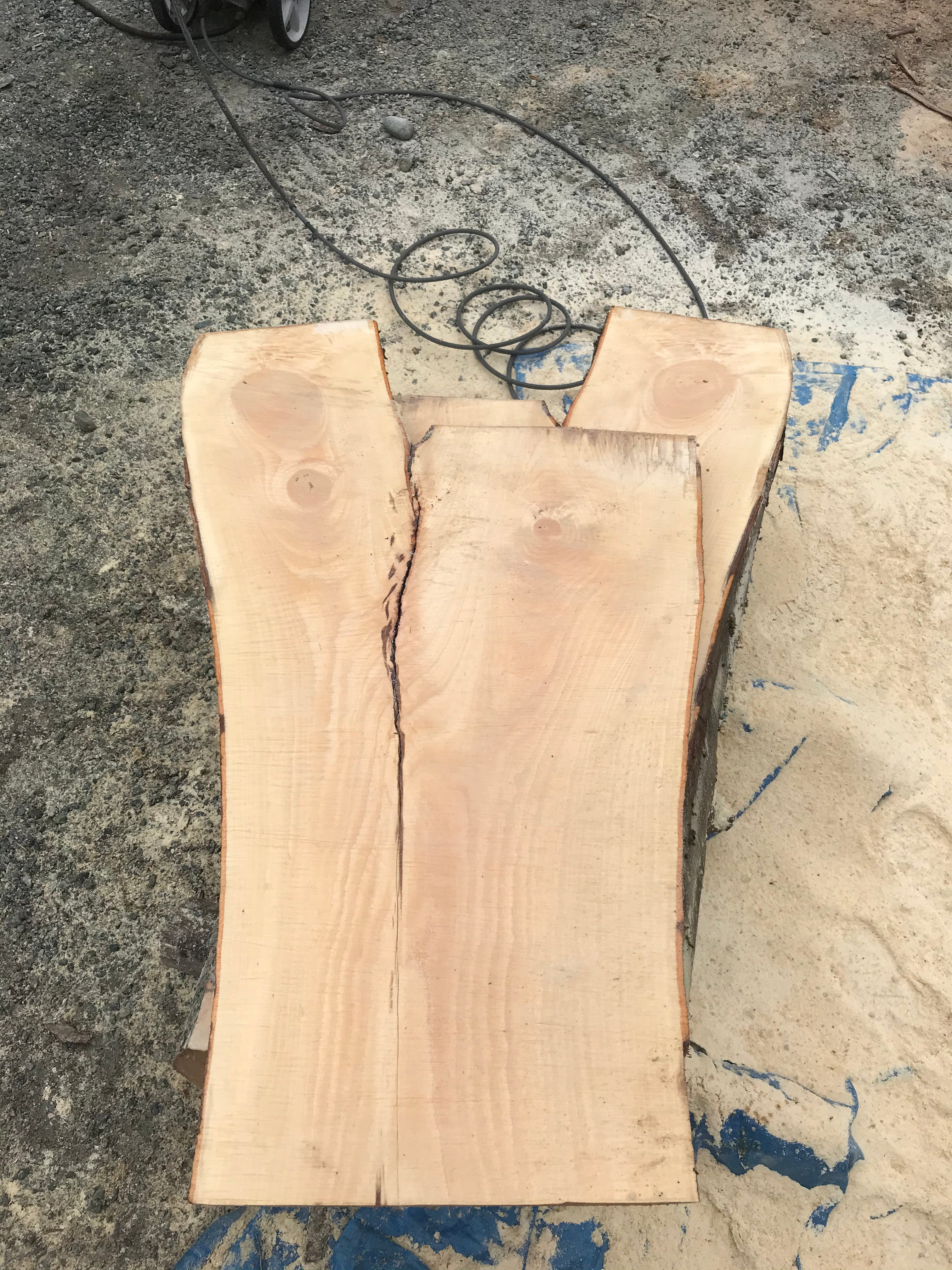 American Beech - BA062320-2.2