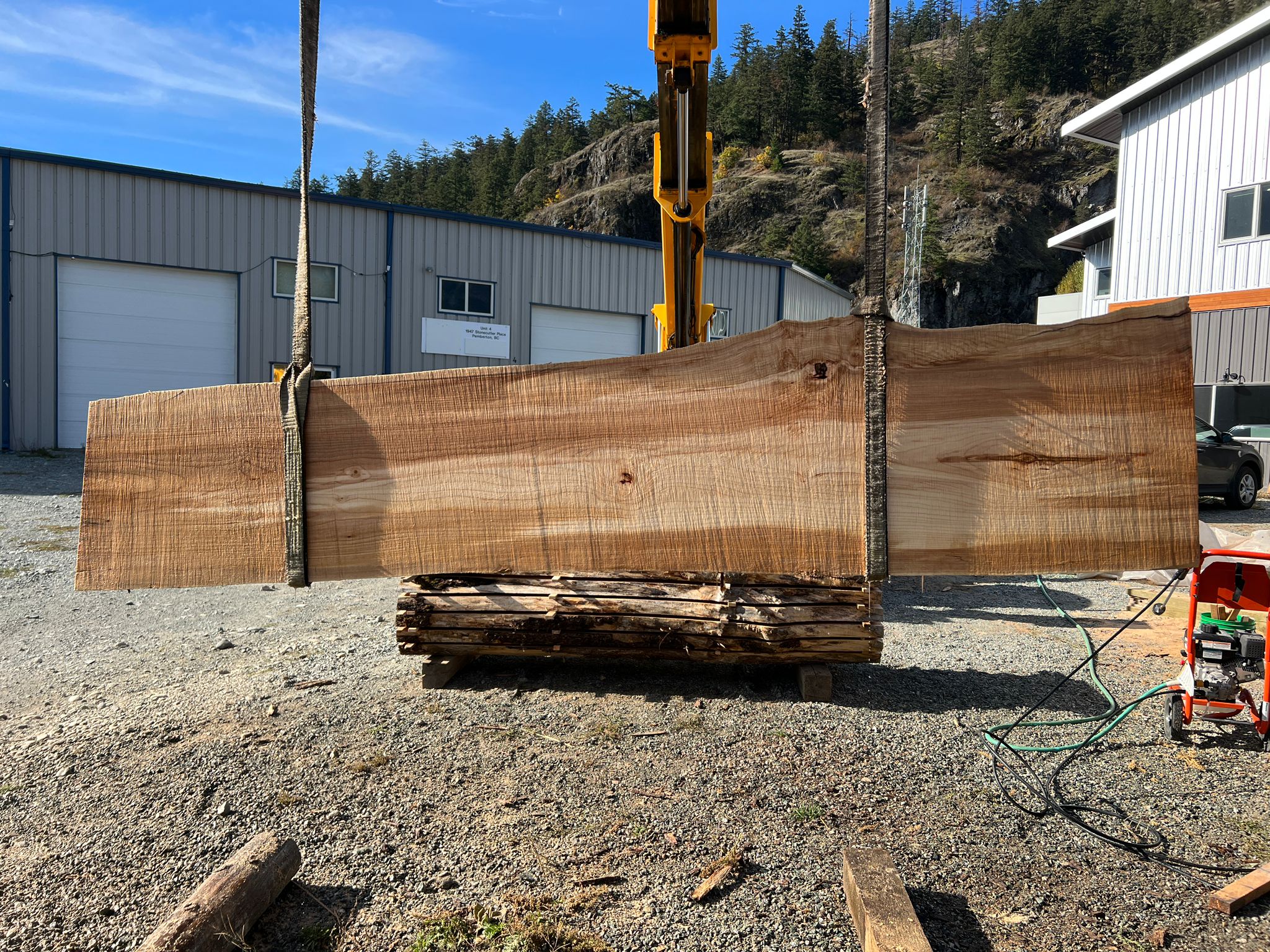 Big Leaf Maple Slab - MW100623-7.6