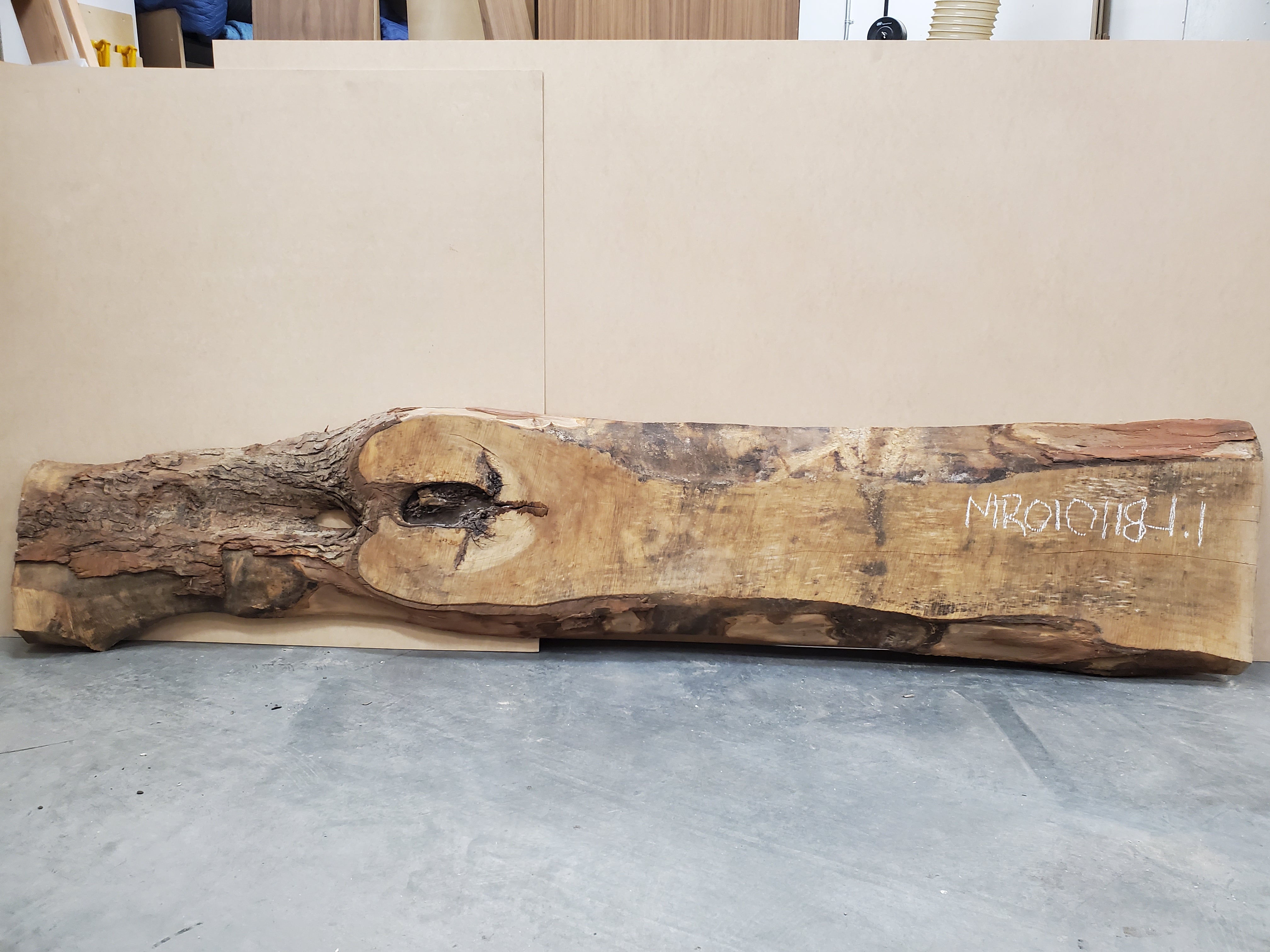 Red Maple - MR010118-1.1