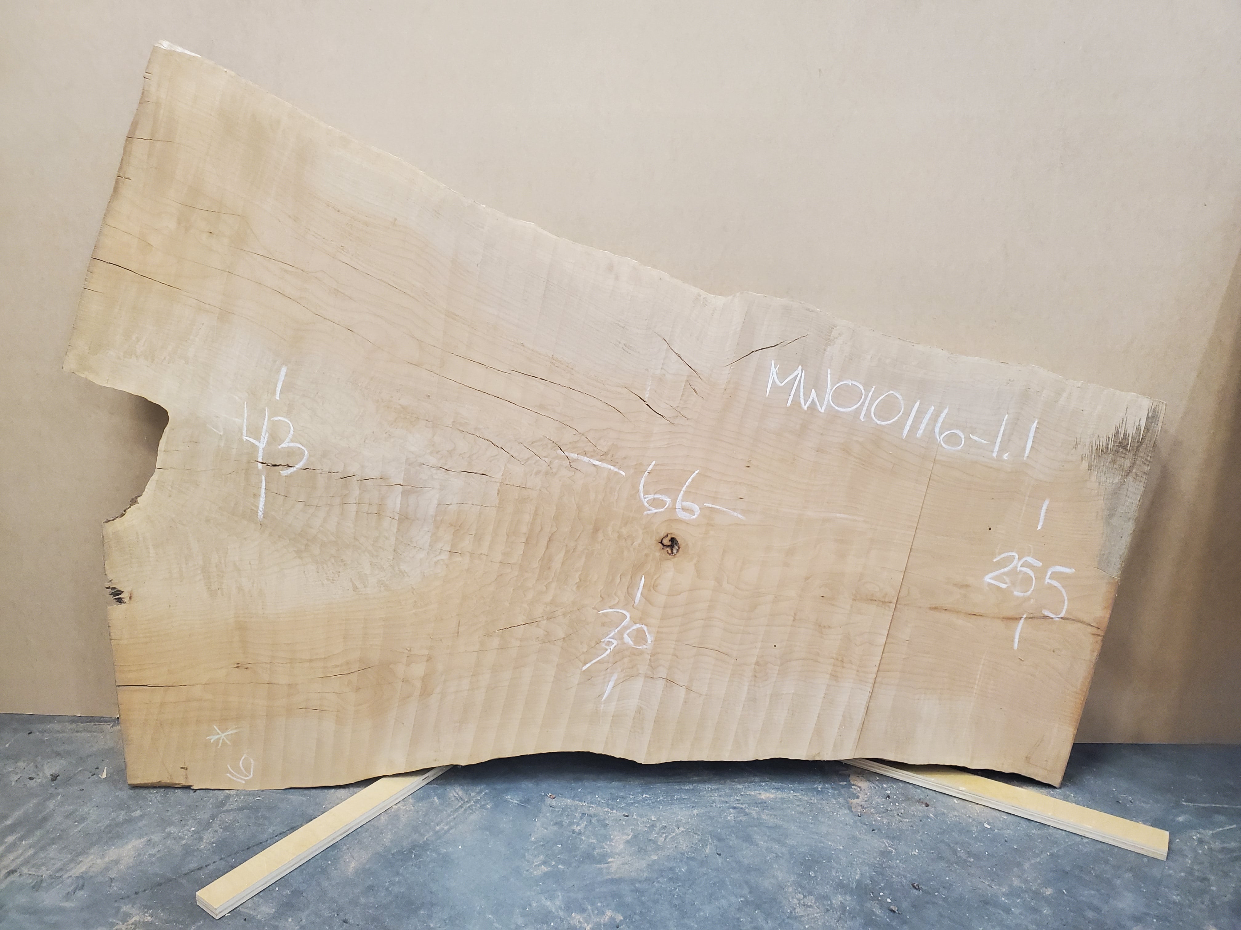 Big Leaf Maple - MW010116-1.1