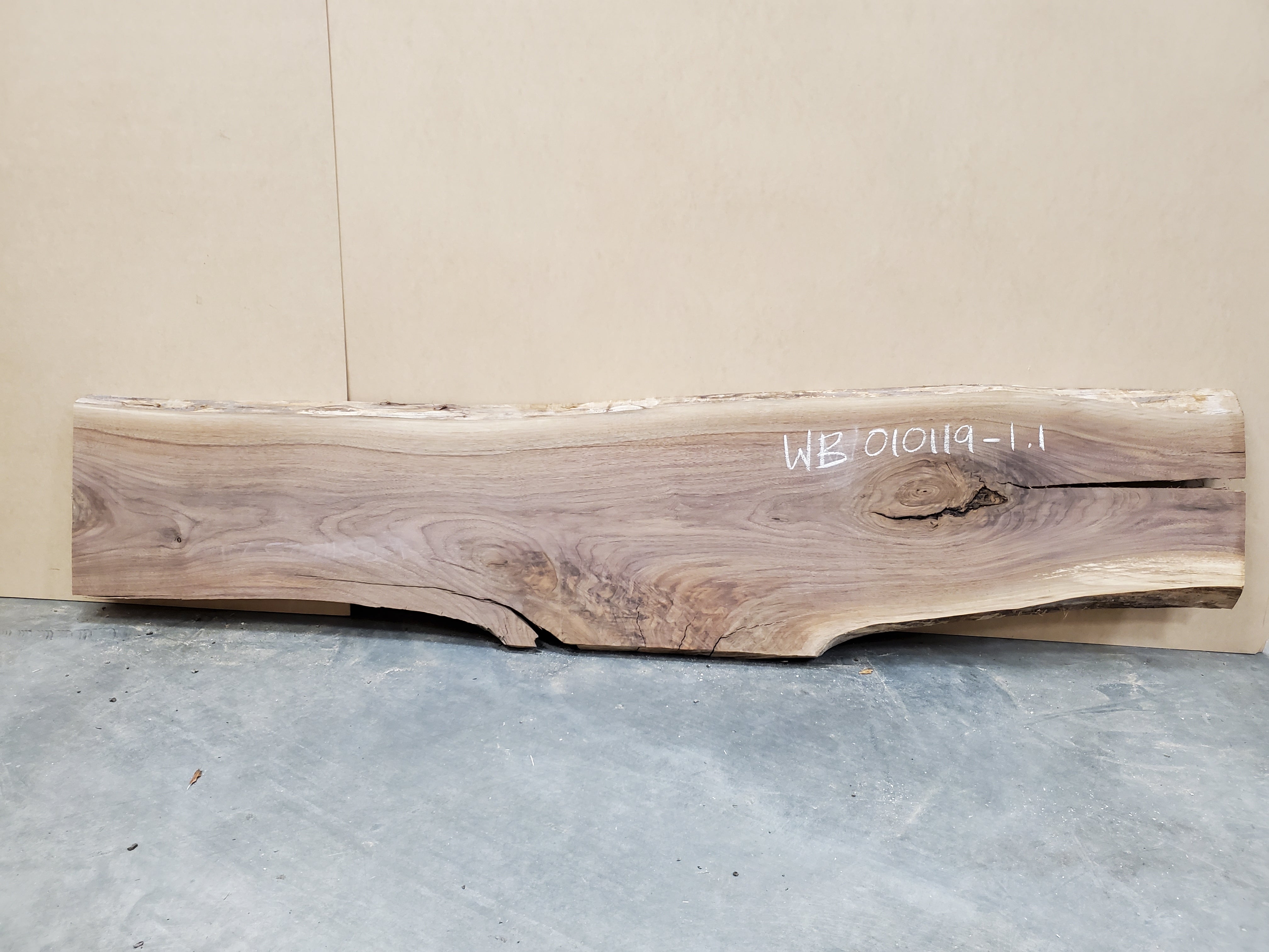 Black Walnut - WB010119-1.1