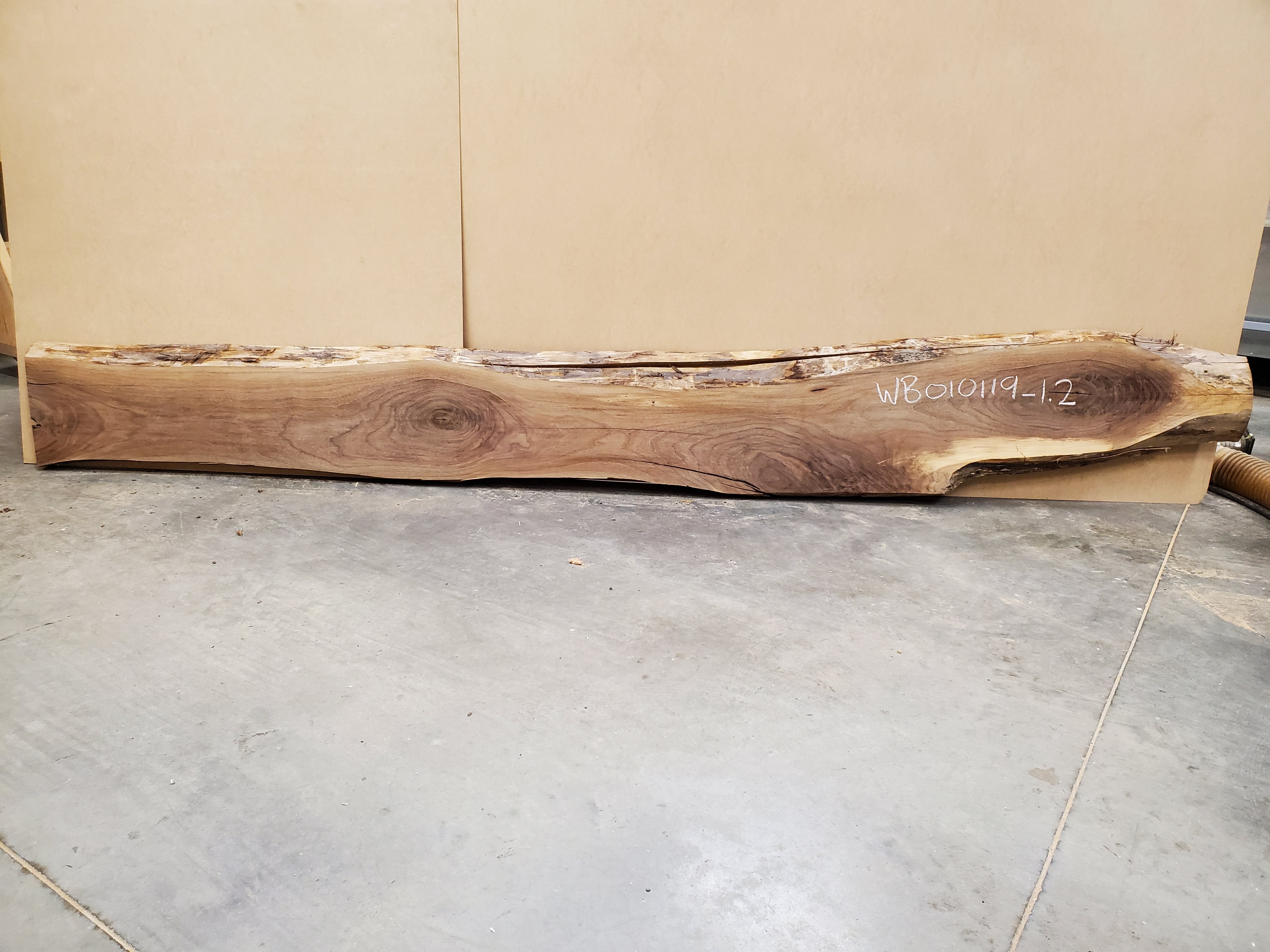 Black Walnut - WB010119-1.2