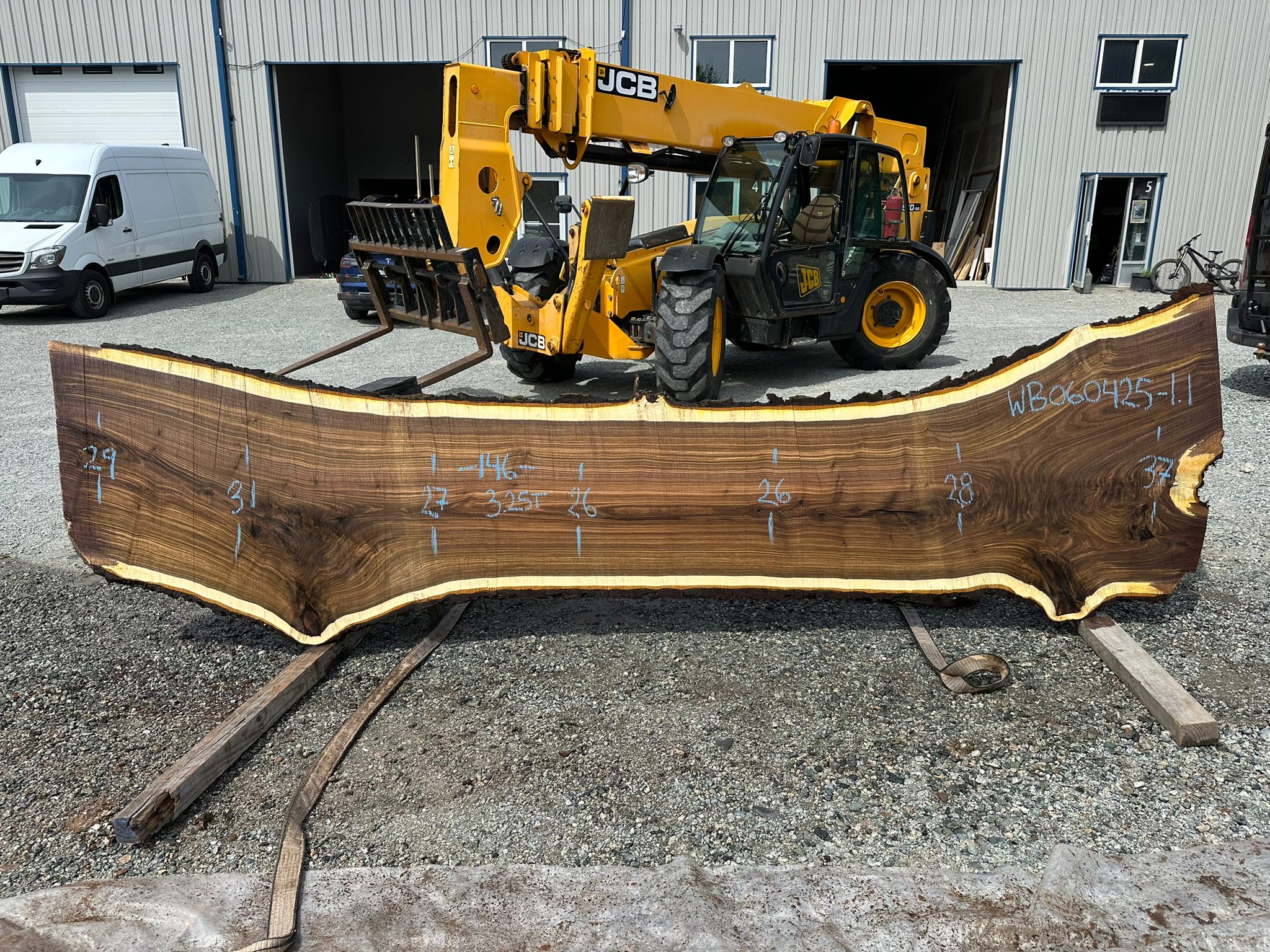 Black Walnut - WB060425-1.1