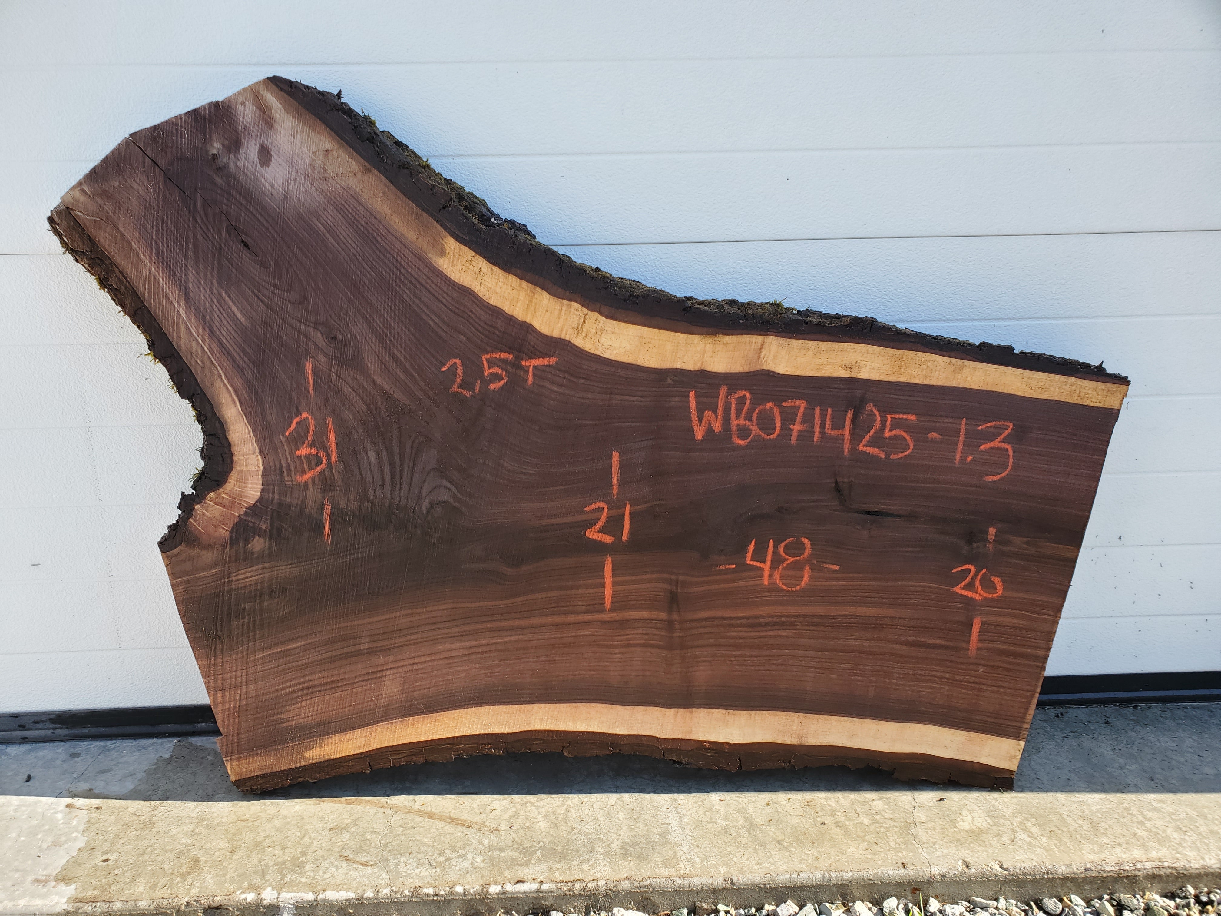 Black Walnut - WB071425-1.3