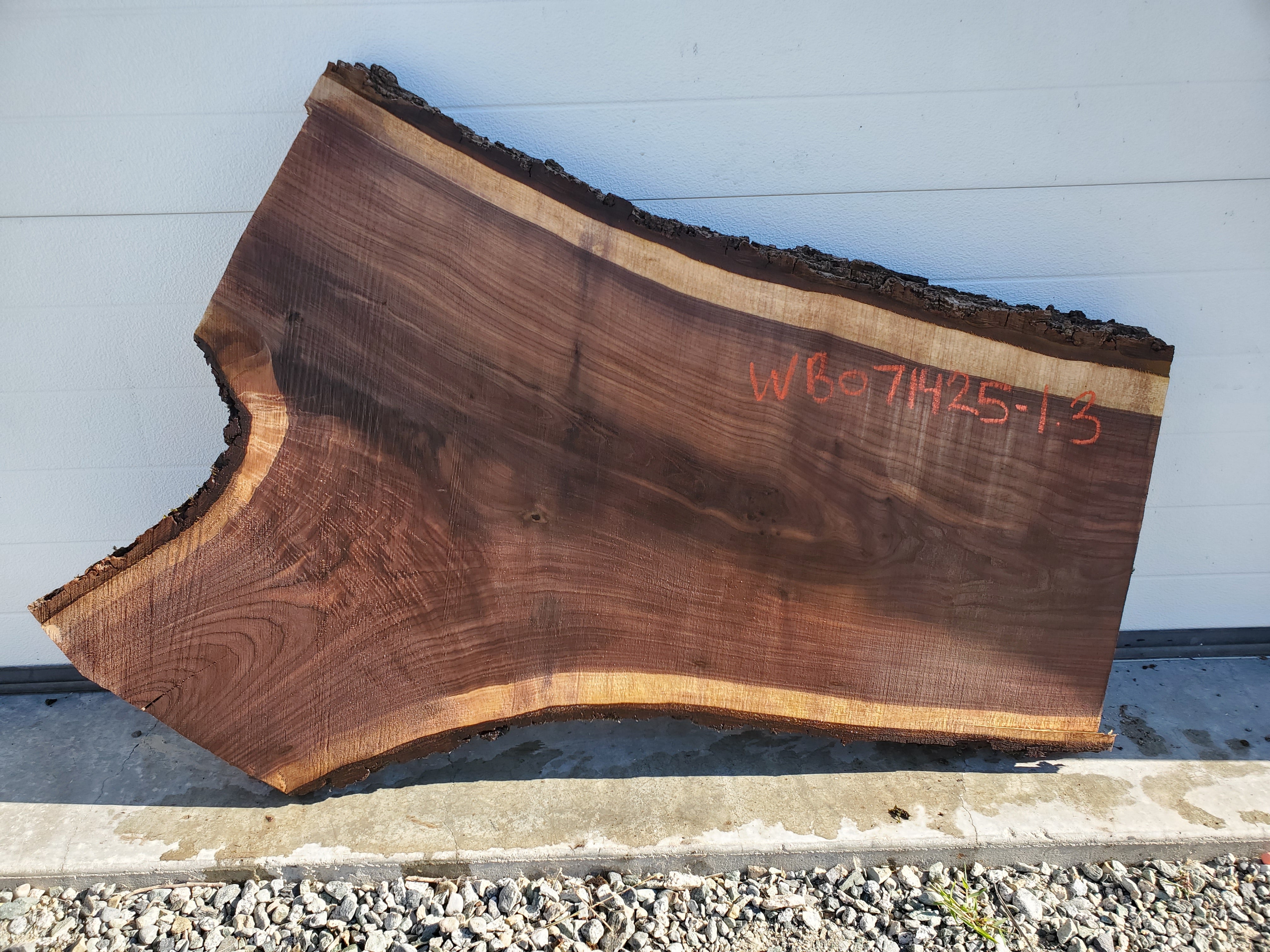 Black Walnut - WB071425-1.3