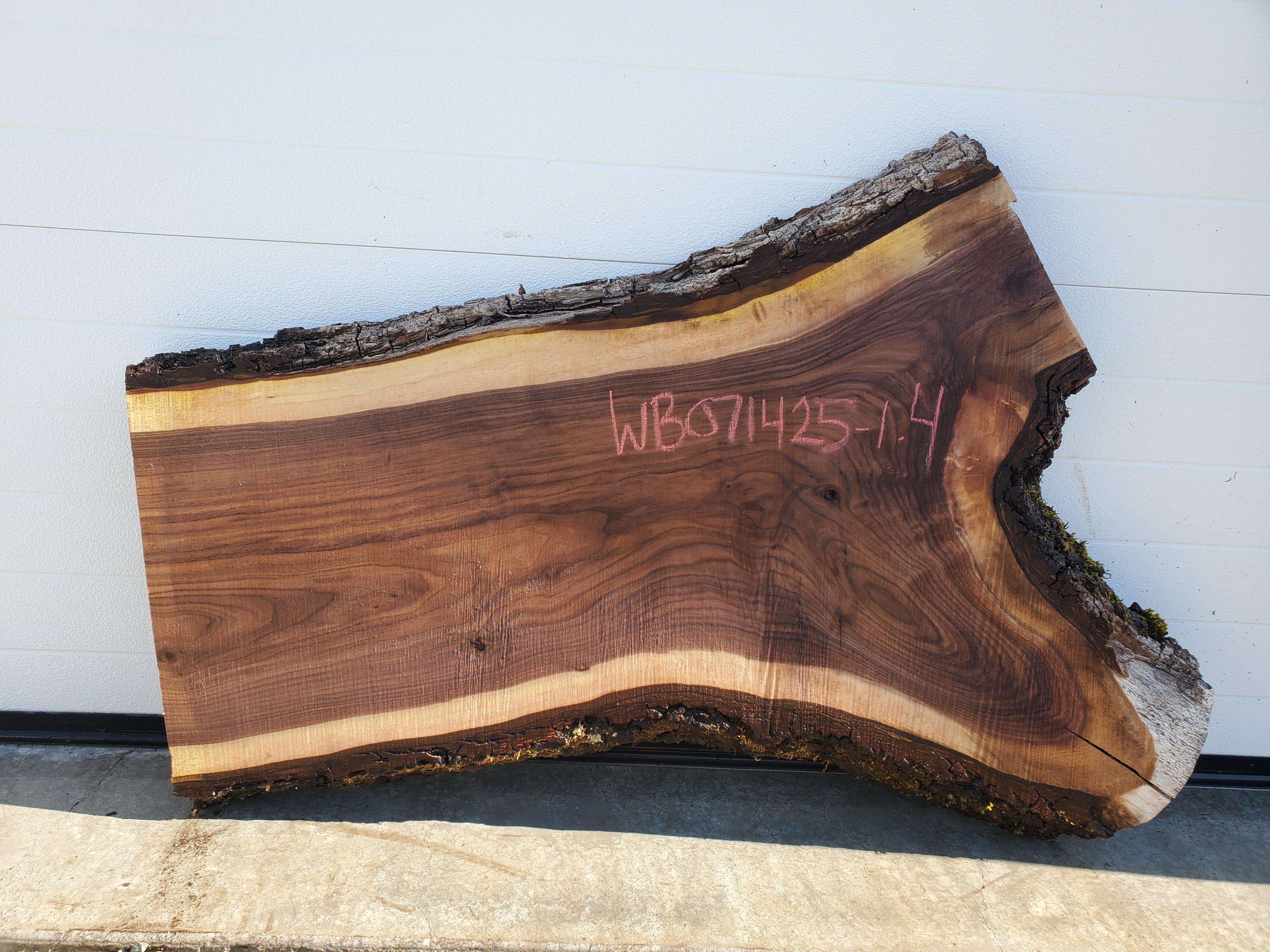 Black Walnut - WB071425-1.4