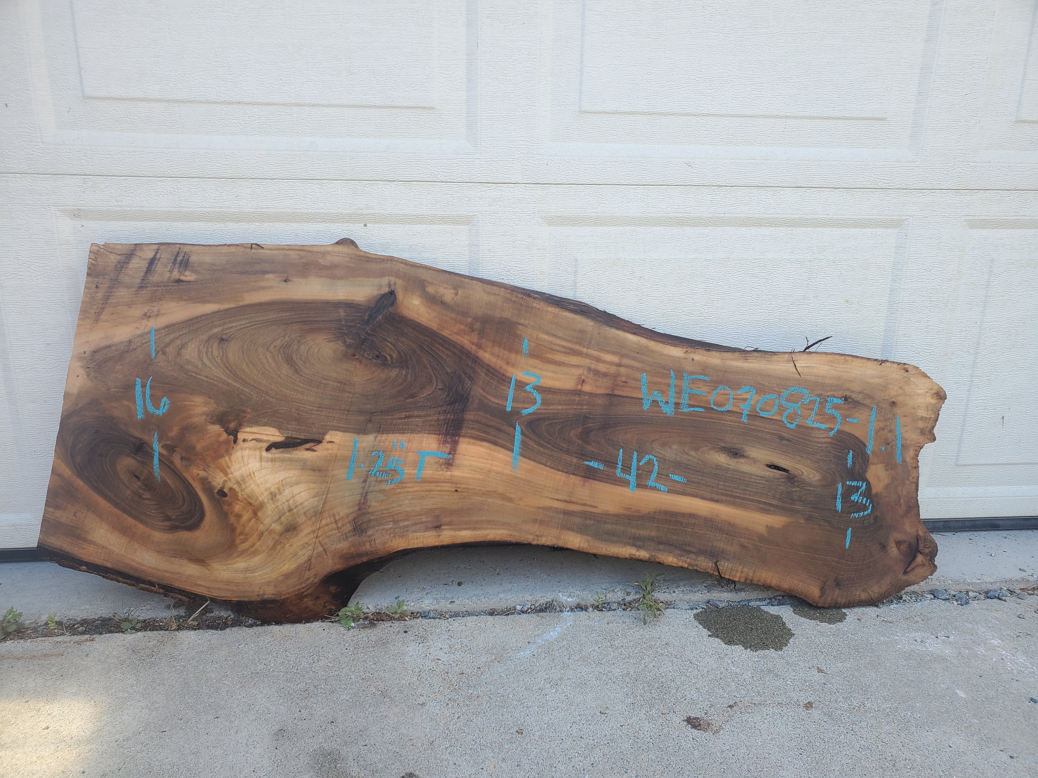 English Walnut - WE070825-1.1