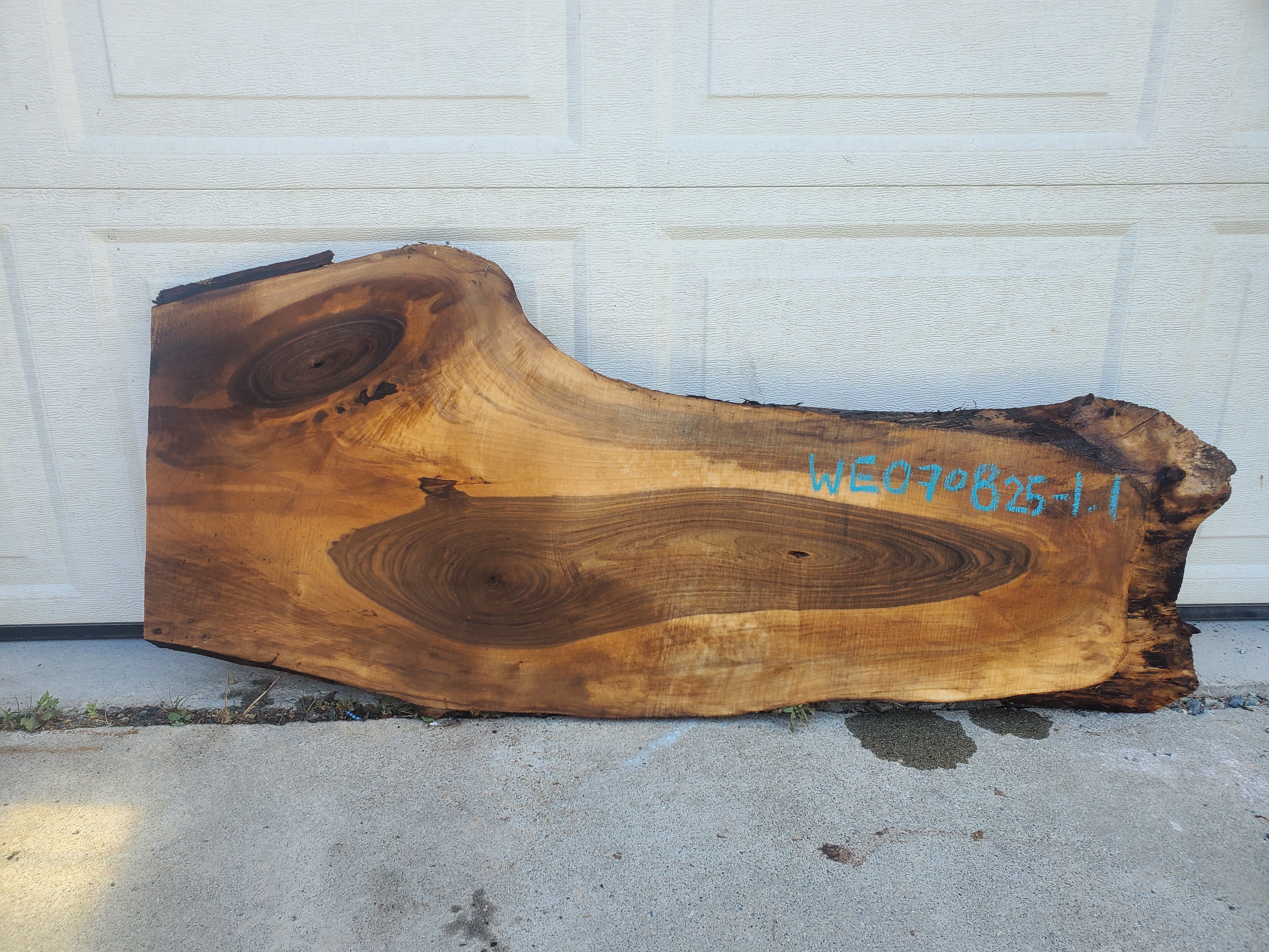 English Walnut - WE070825-1.1