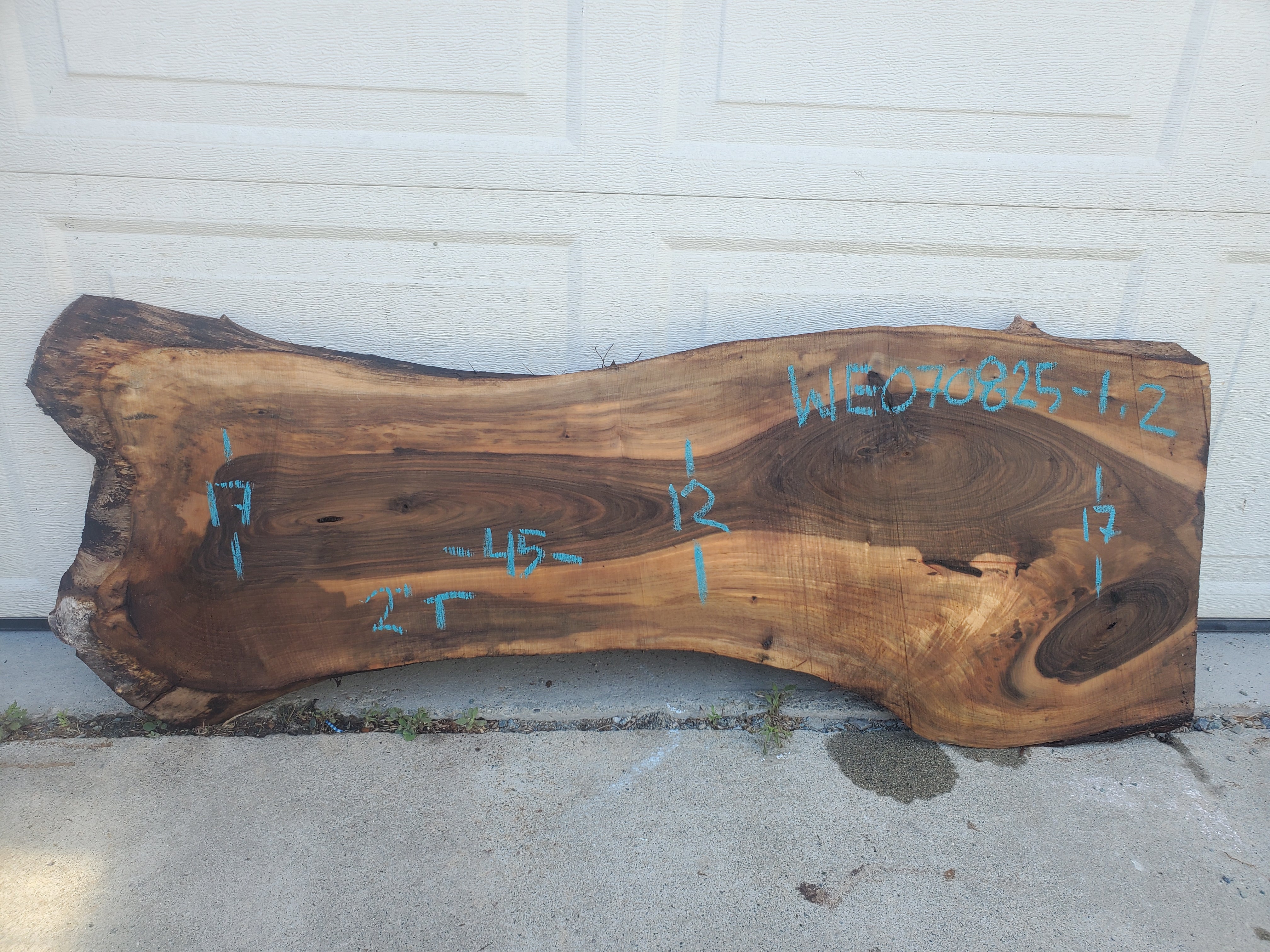English Walnut - WE070825-1.2