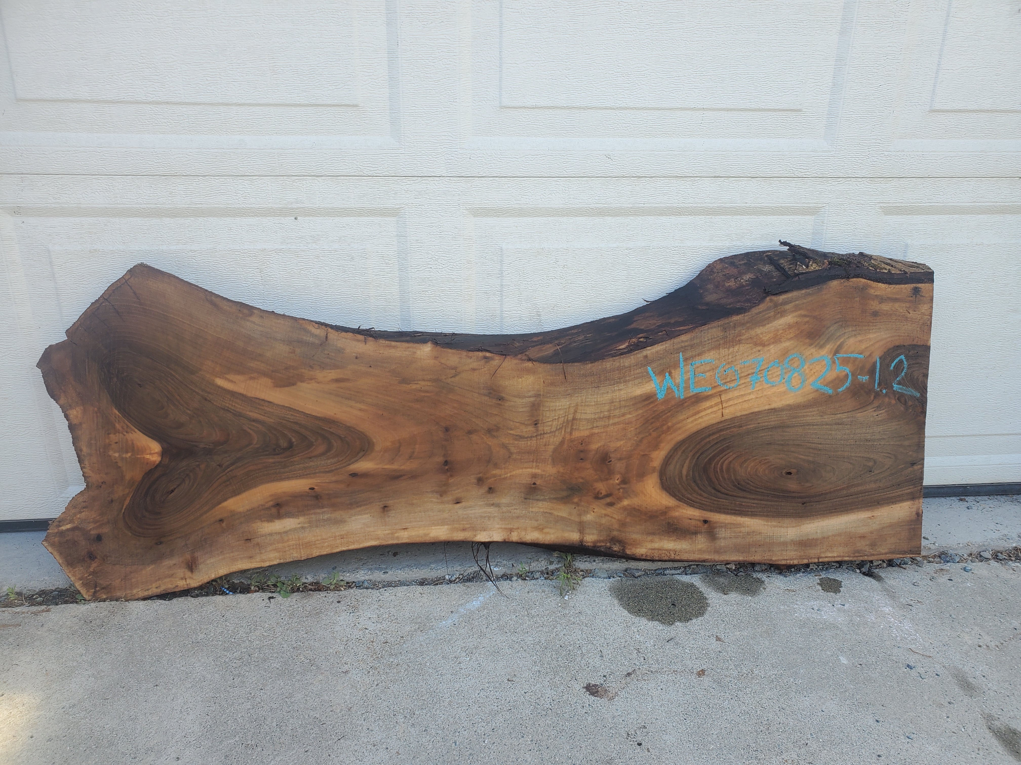 English Walnut - WE070825-1.2