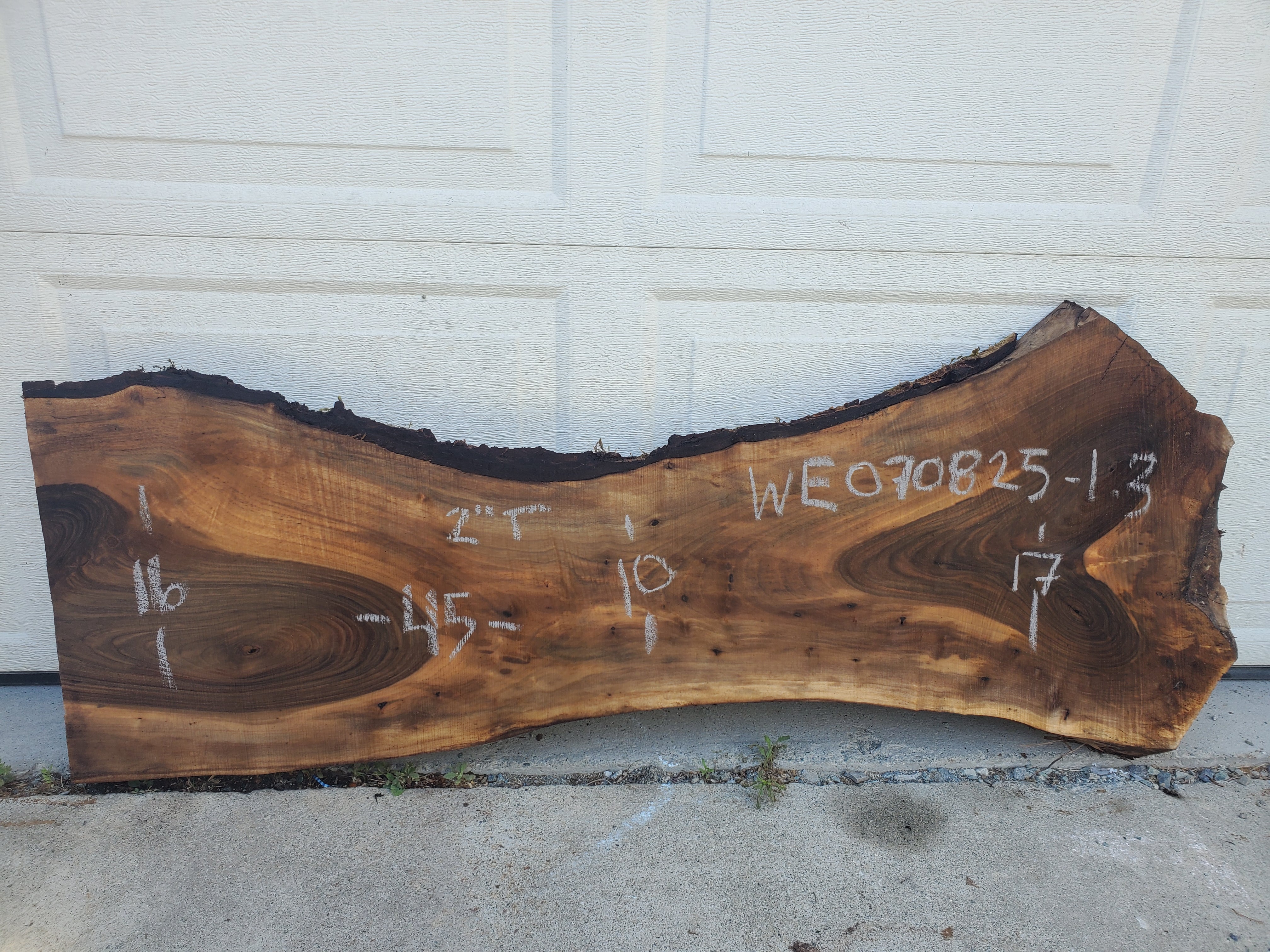 English Walnut - WE070825-1.3