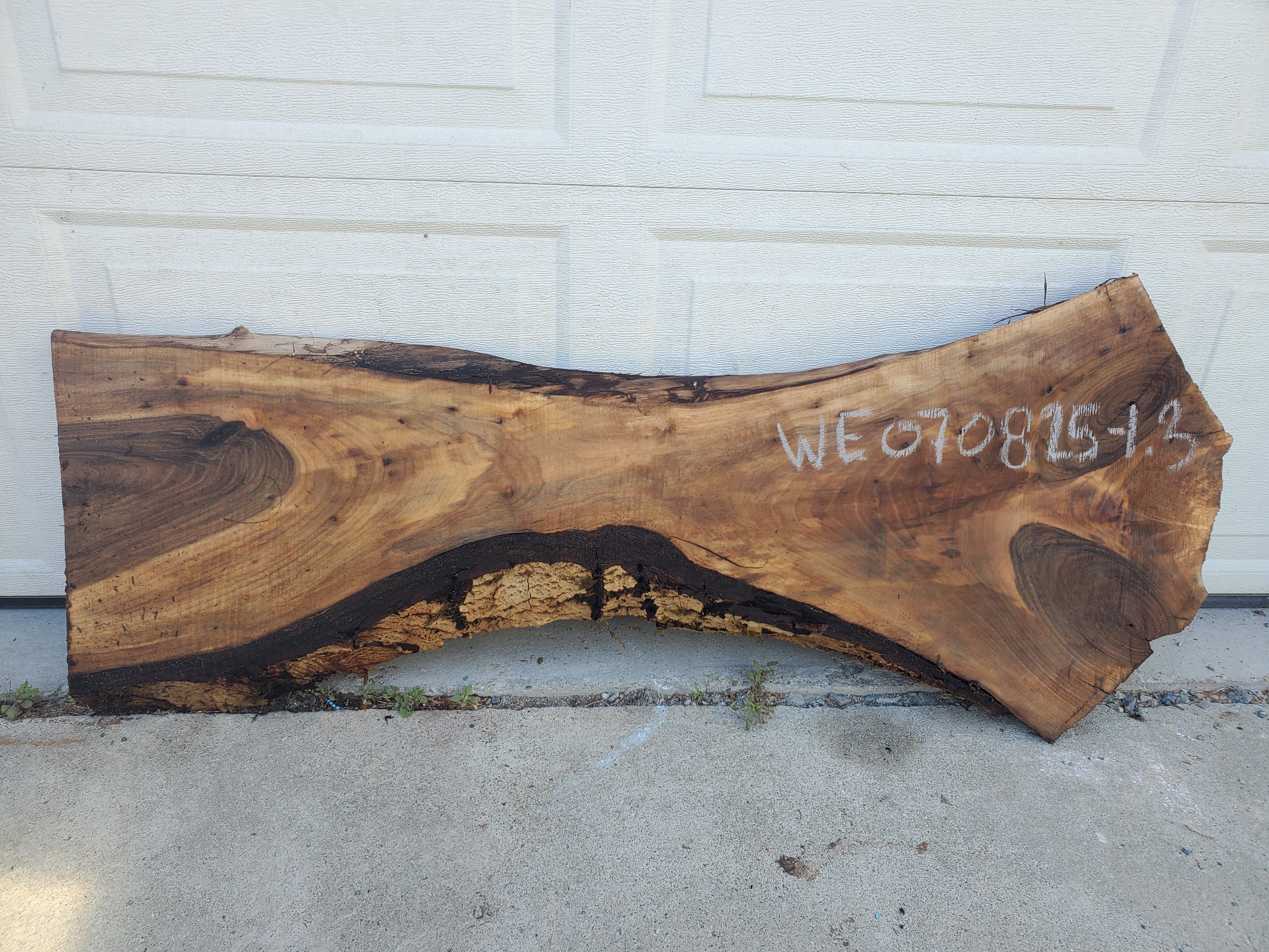 English Walnut - WE070825-1.3