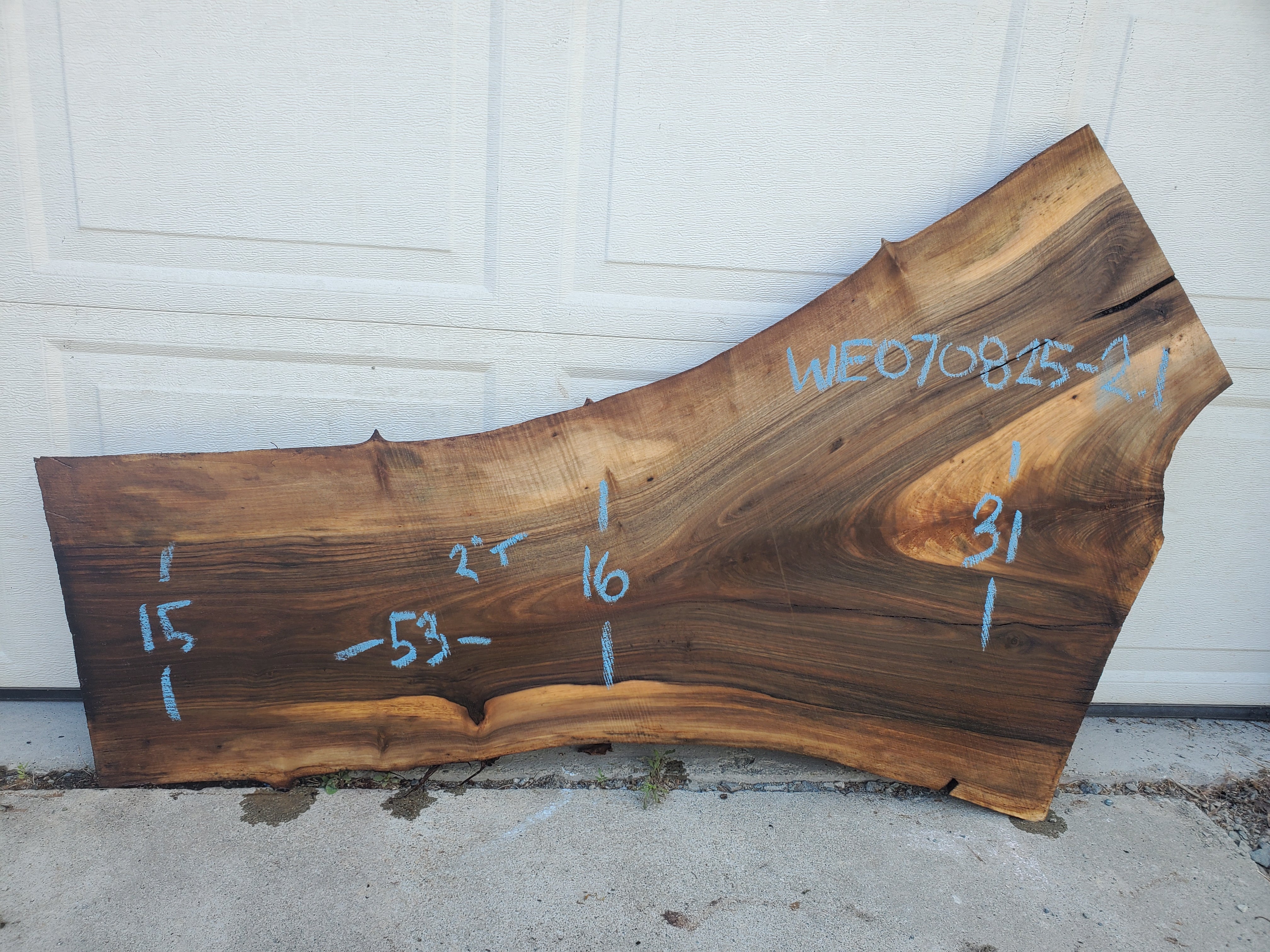 English Walnut - WE070825-2.1