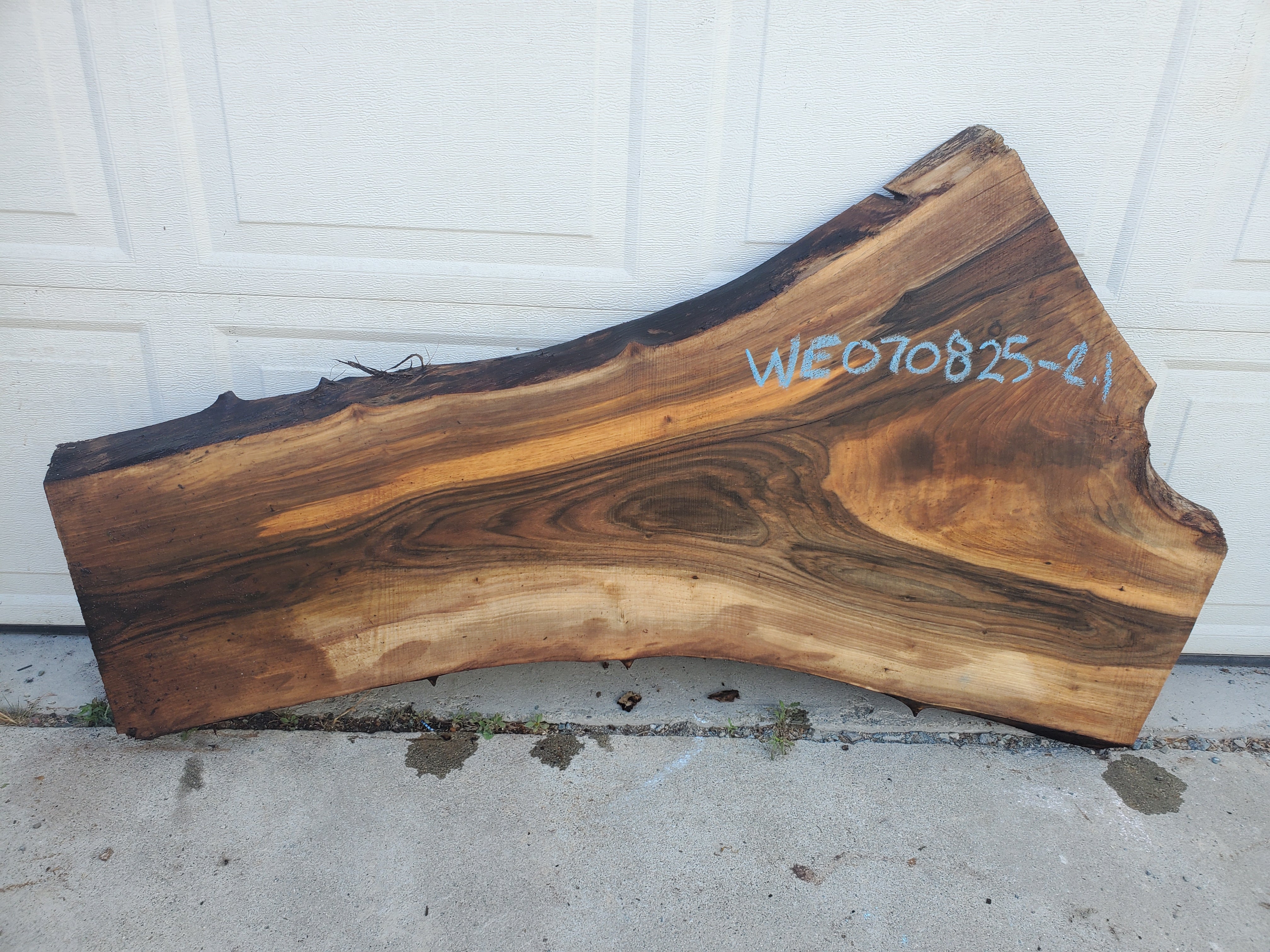 English Walnut - WE070825-2.1