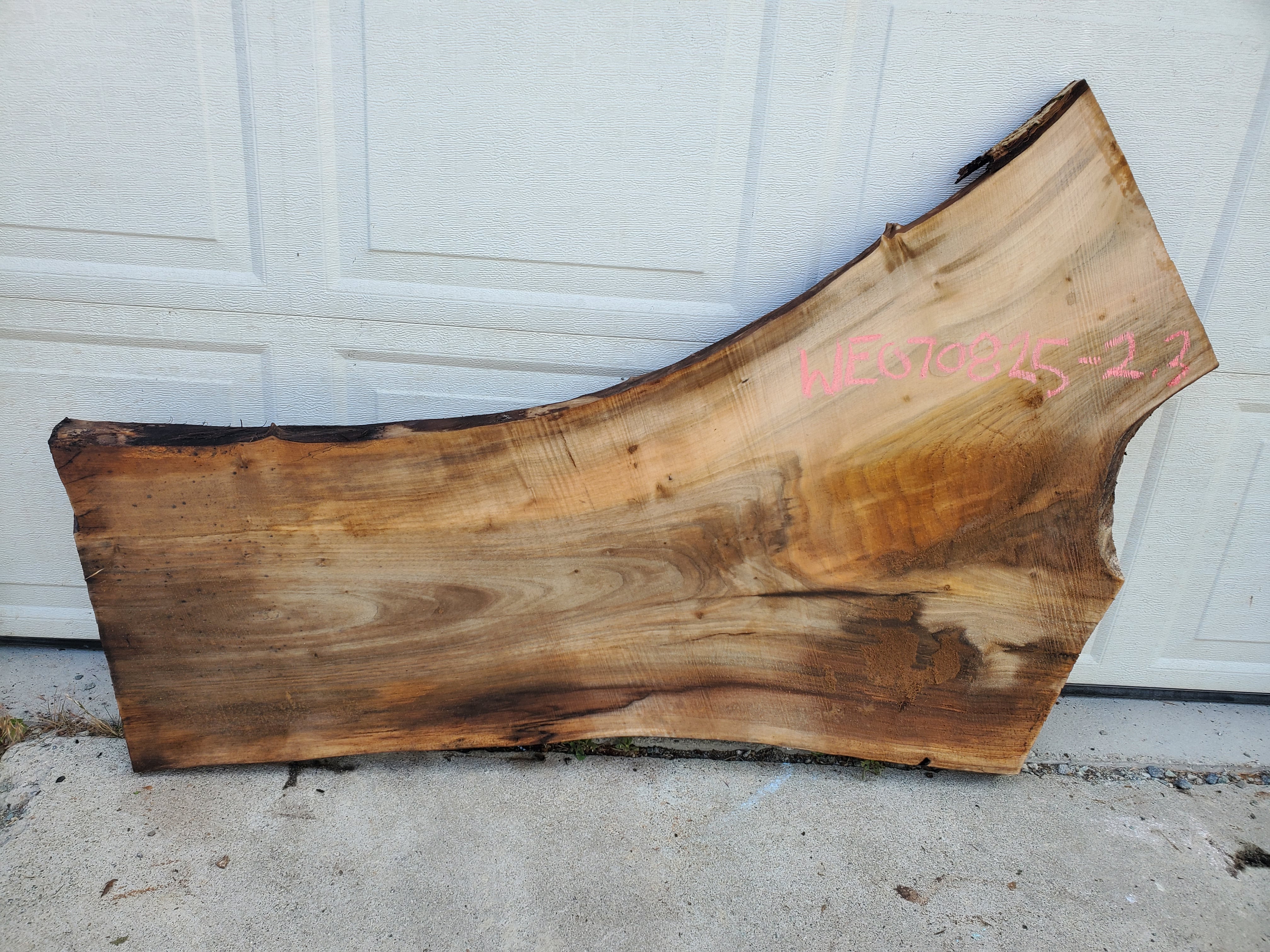 English Walnut - WE070825-2.3