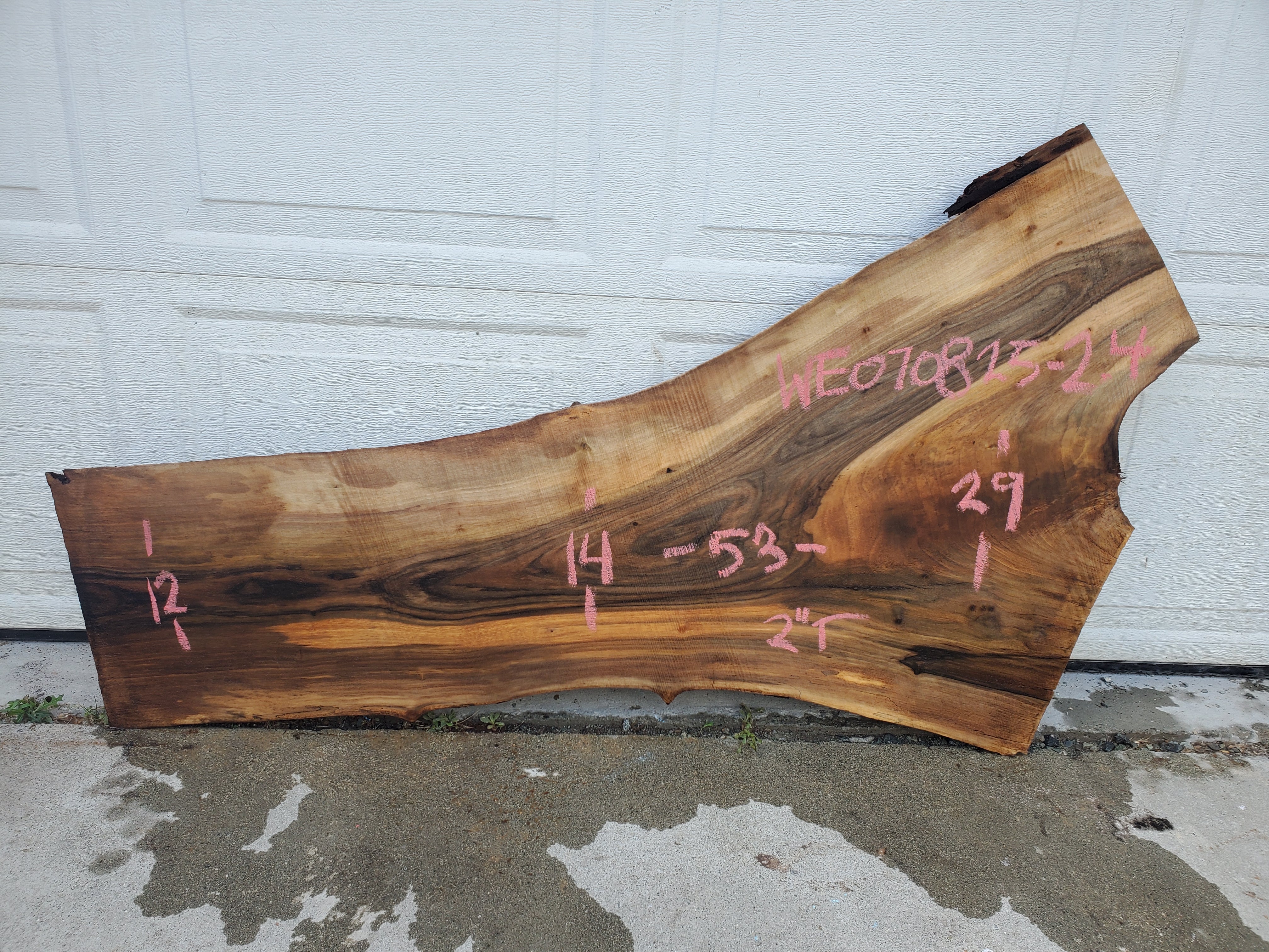 English Walnut - WE070825-2.4