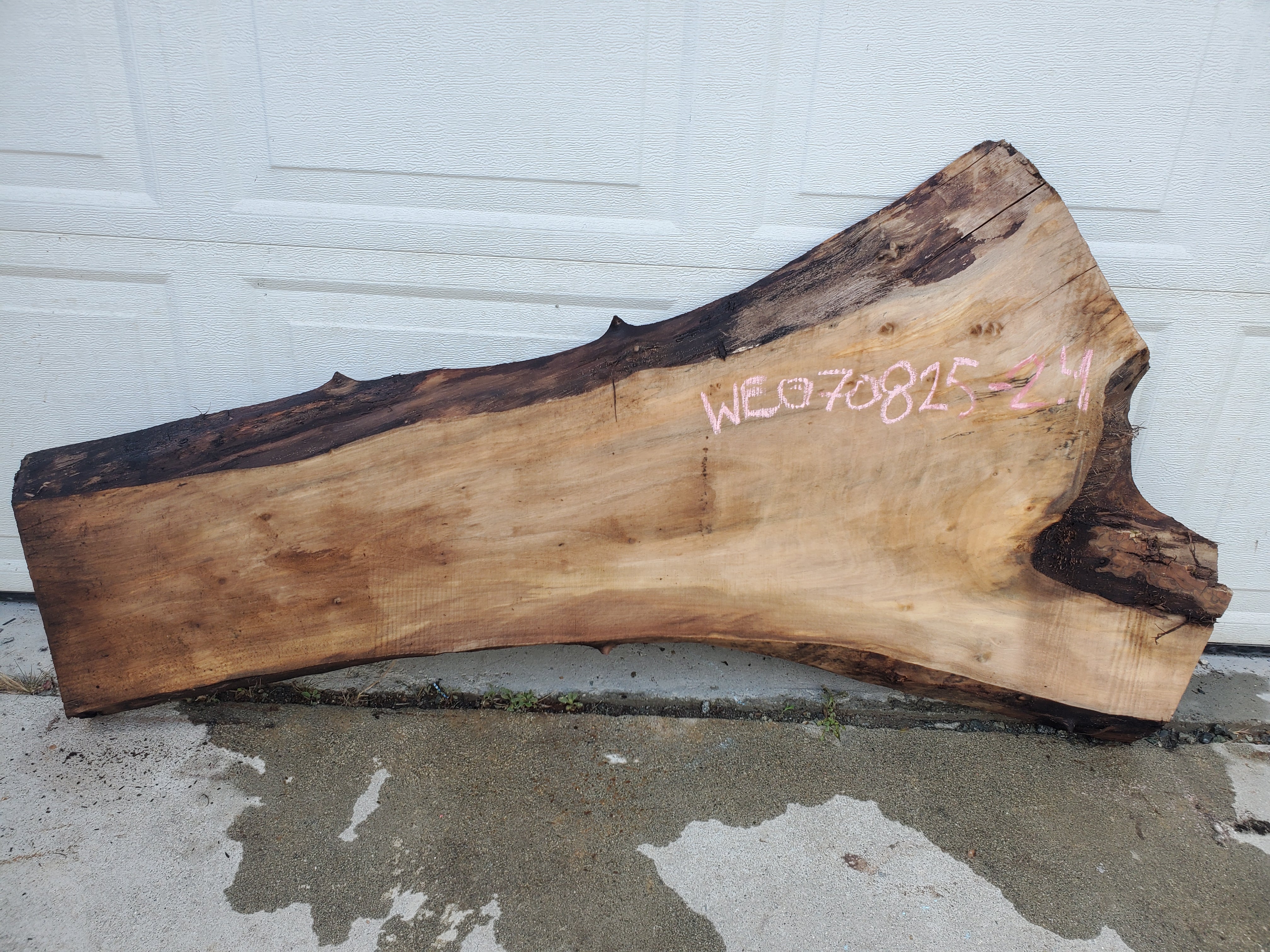 English Walnut - WE070825-2.4