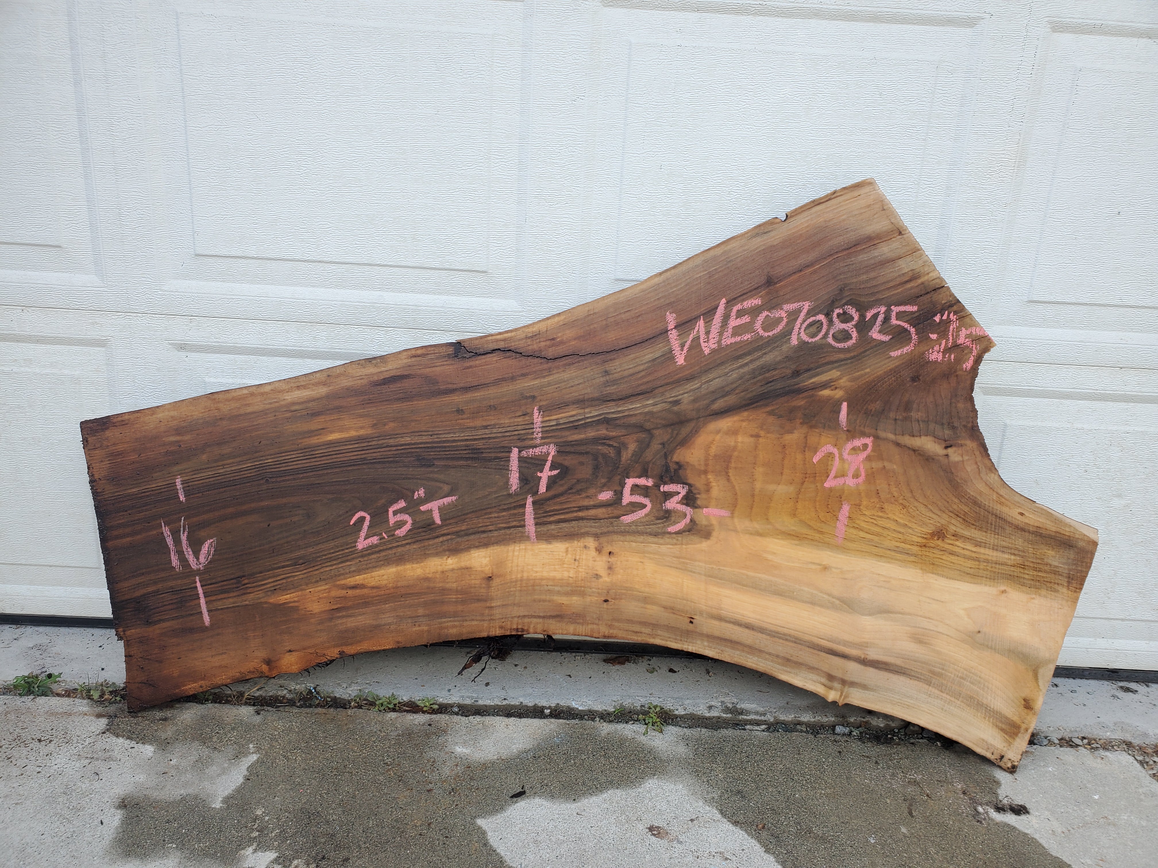 English Walnut - WE070825-2.5