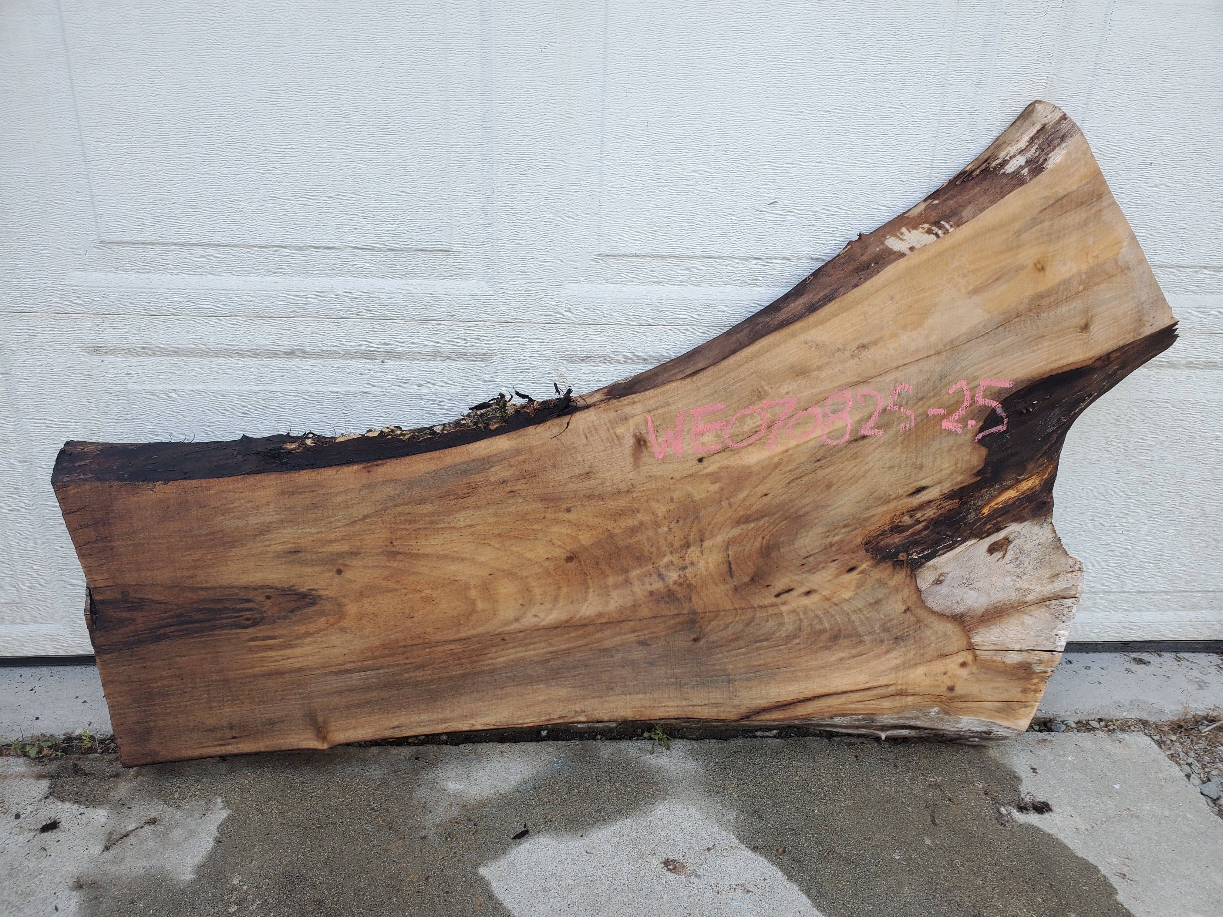 English Walnut - WE070825-2.5