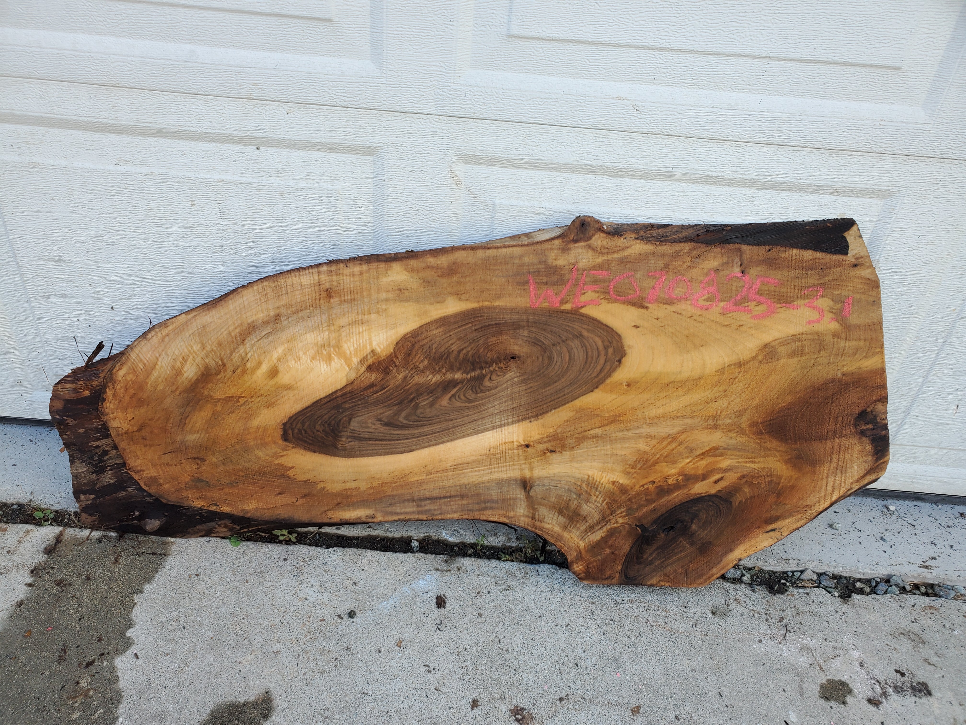 English Walnut - WE070825-3.1