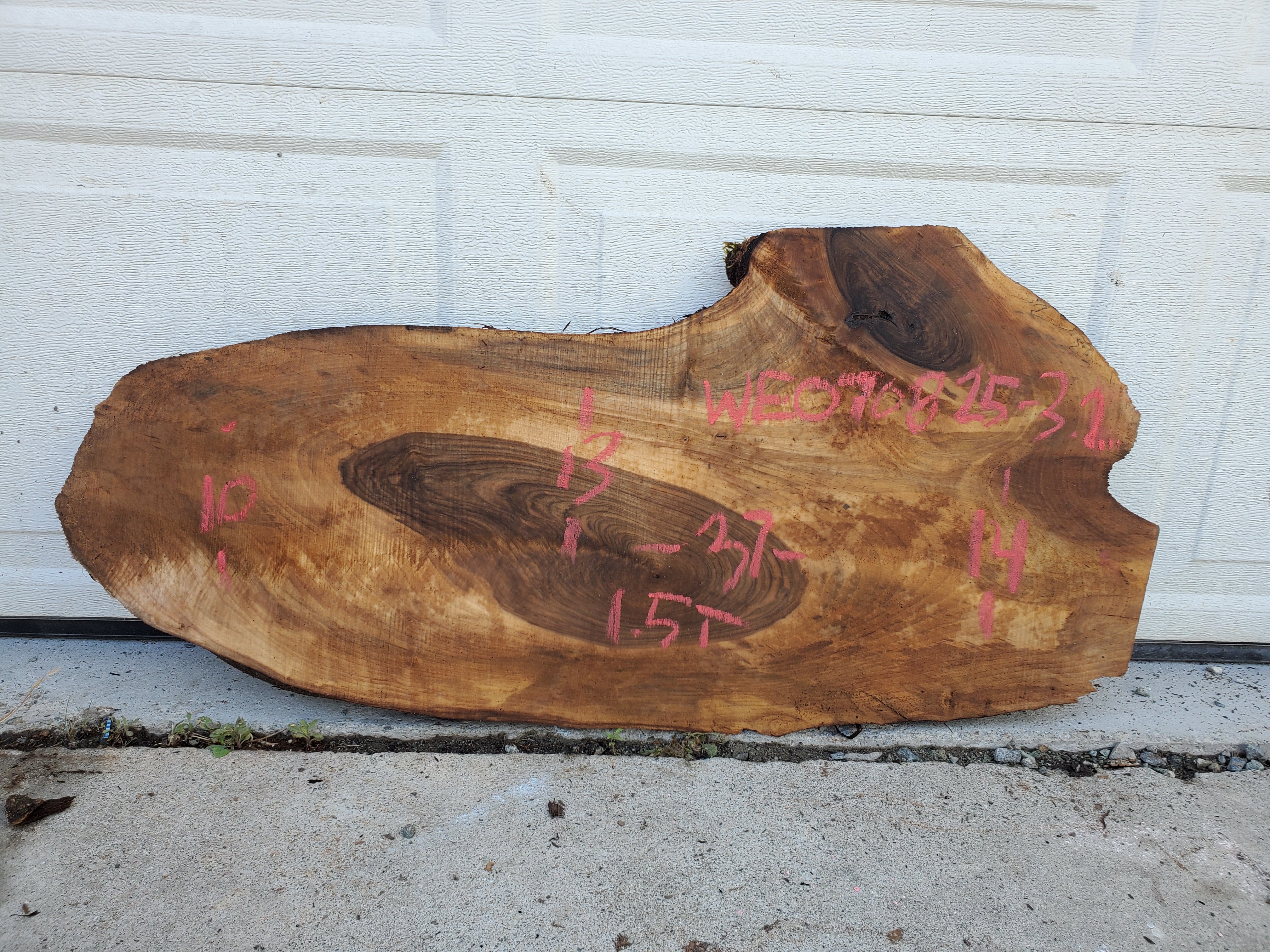 English Walnut - WE070825-3.2