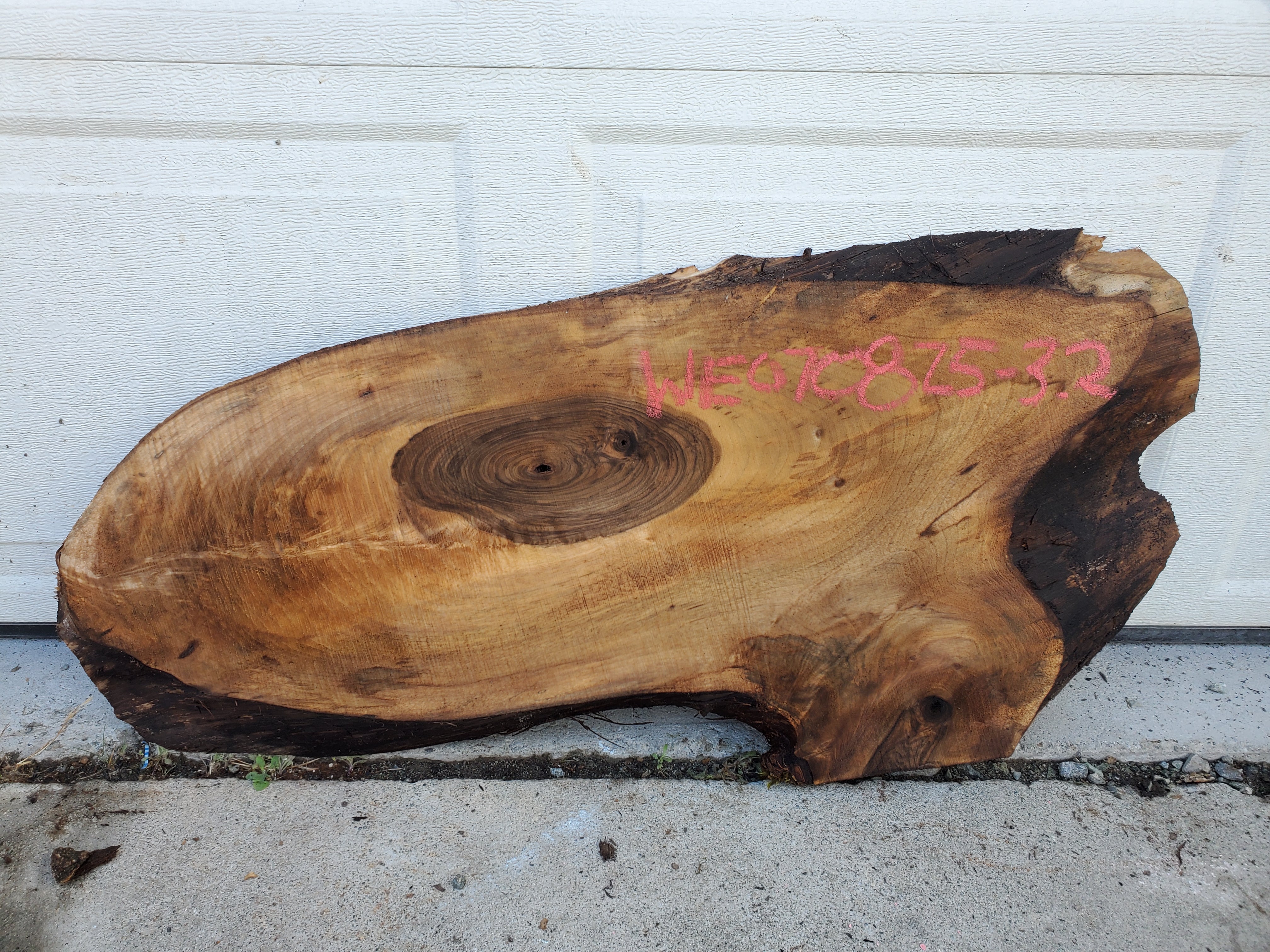 English Walnut - WE070825-3.2
