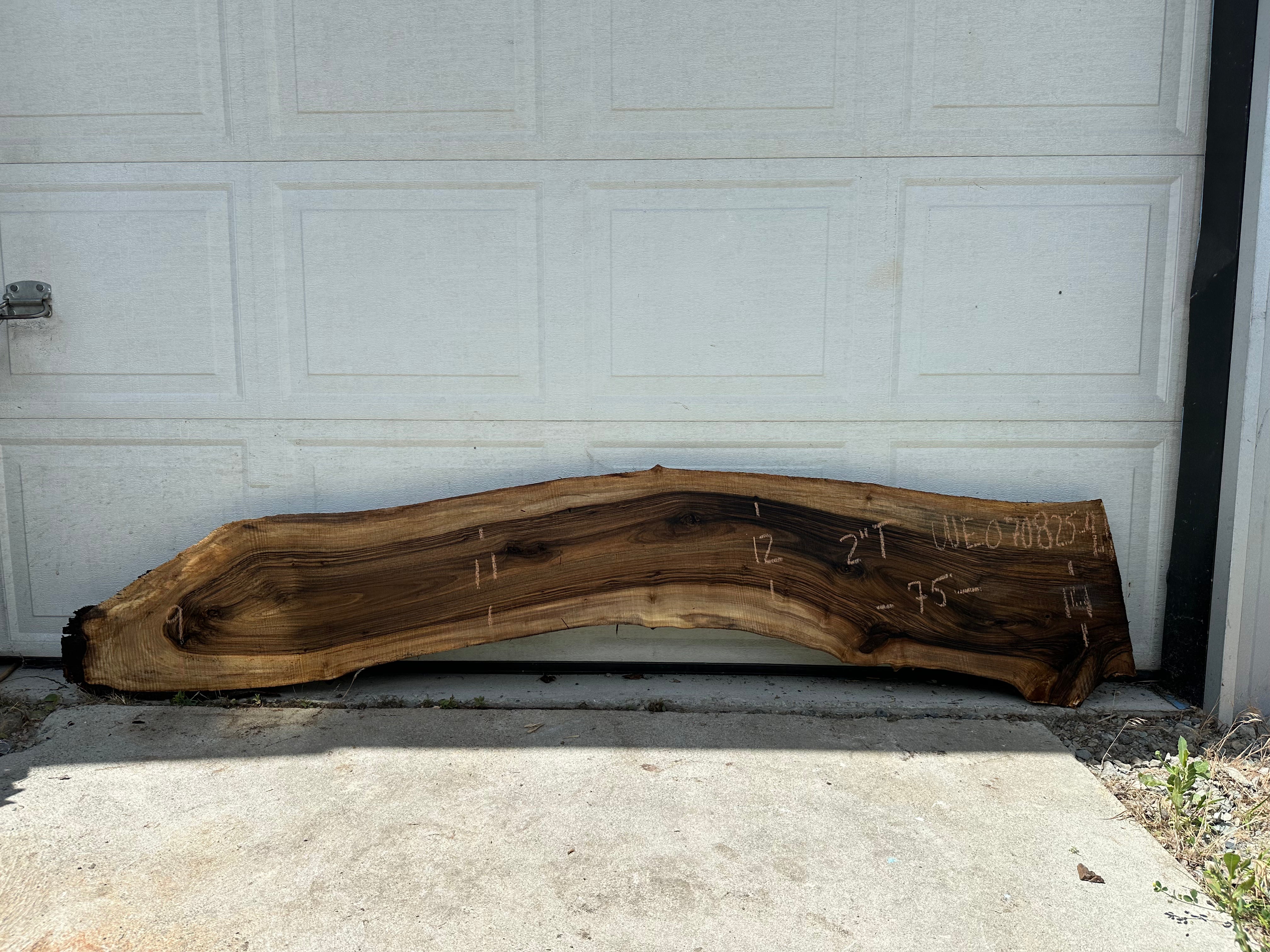 English Walnut - WE070825-4.1