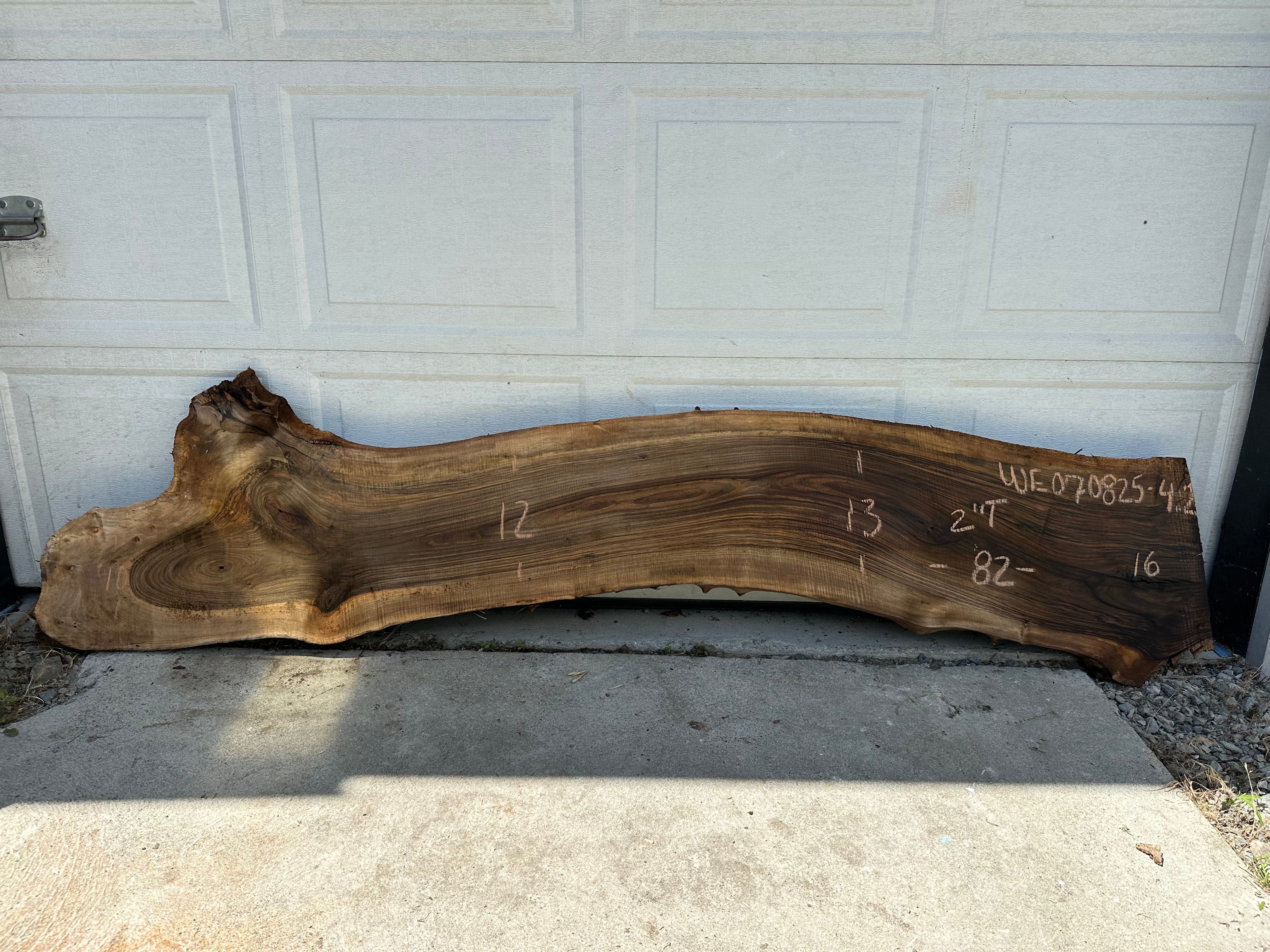 English Walnut - WE070825-4.2