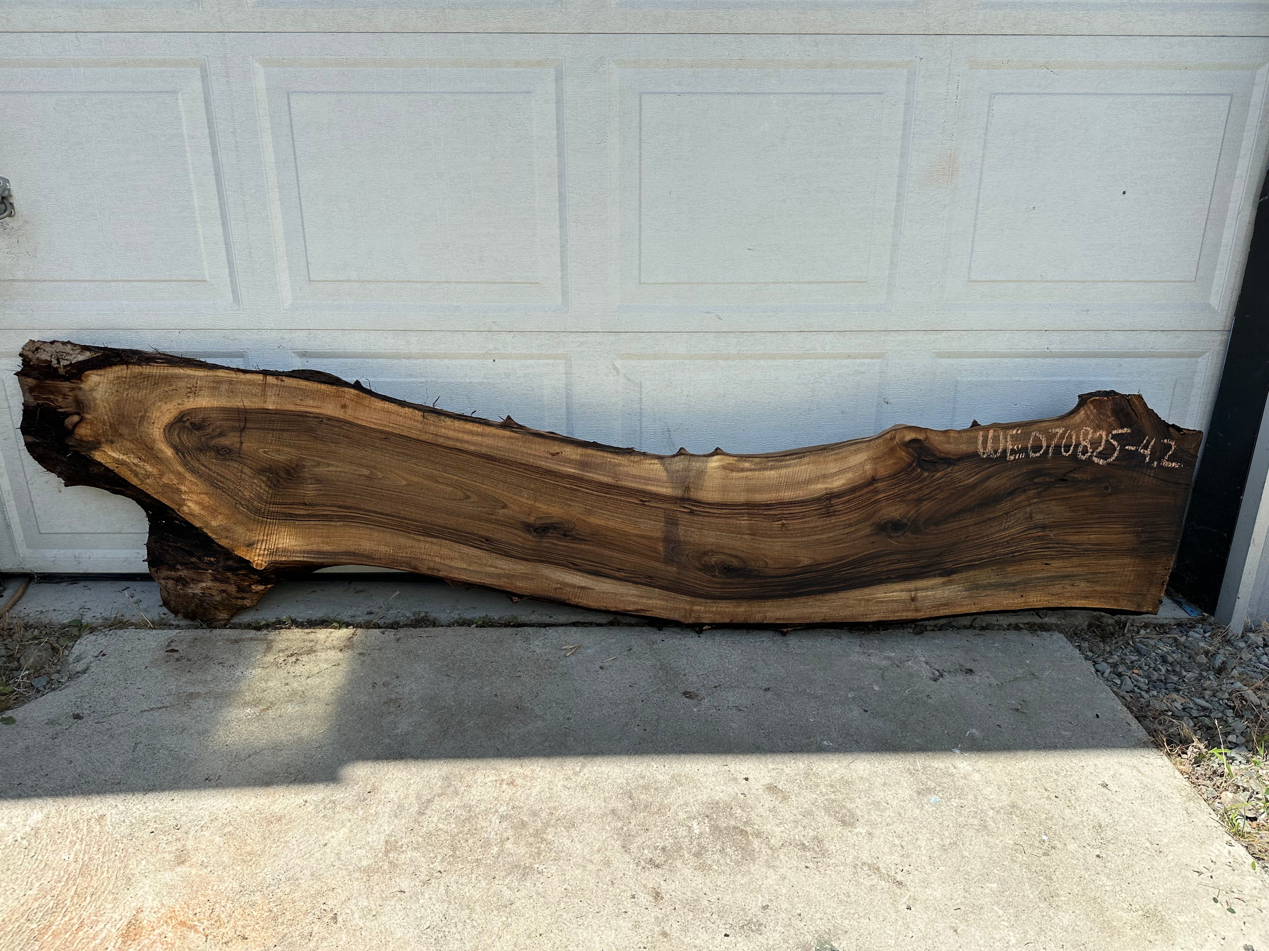 English Walnut - WE070825-4.2