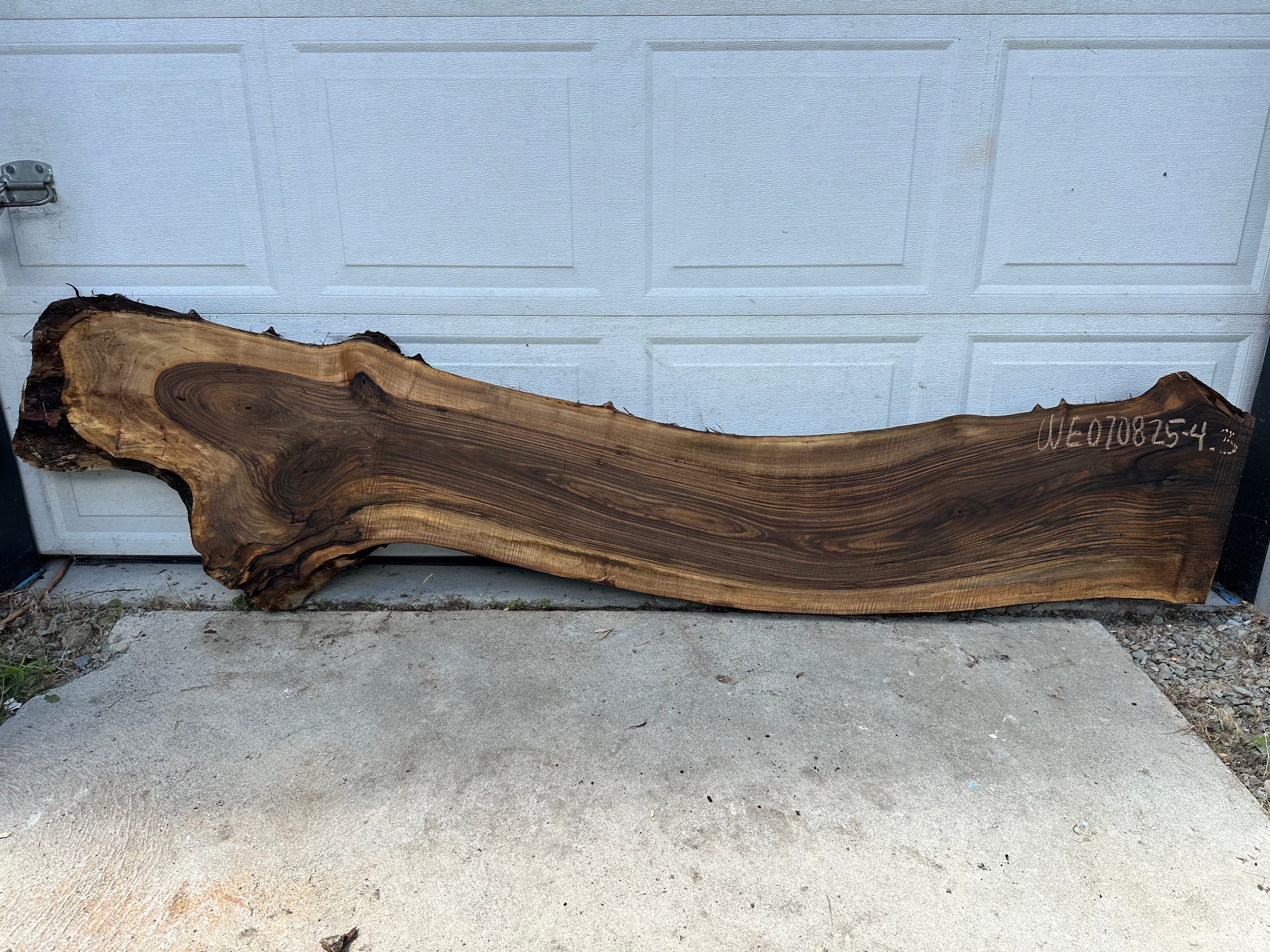 English Walnut - WE070825-4.3