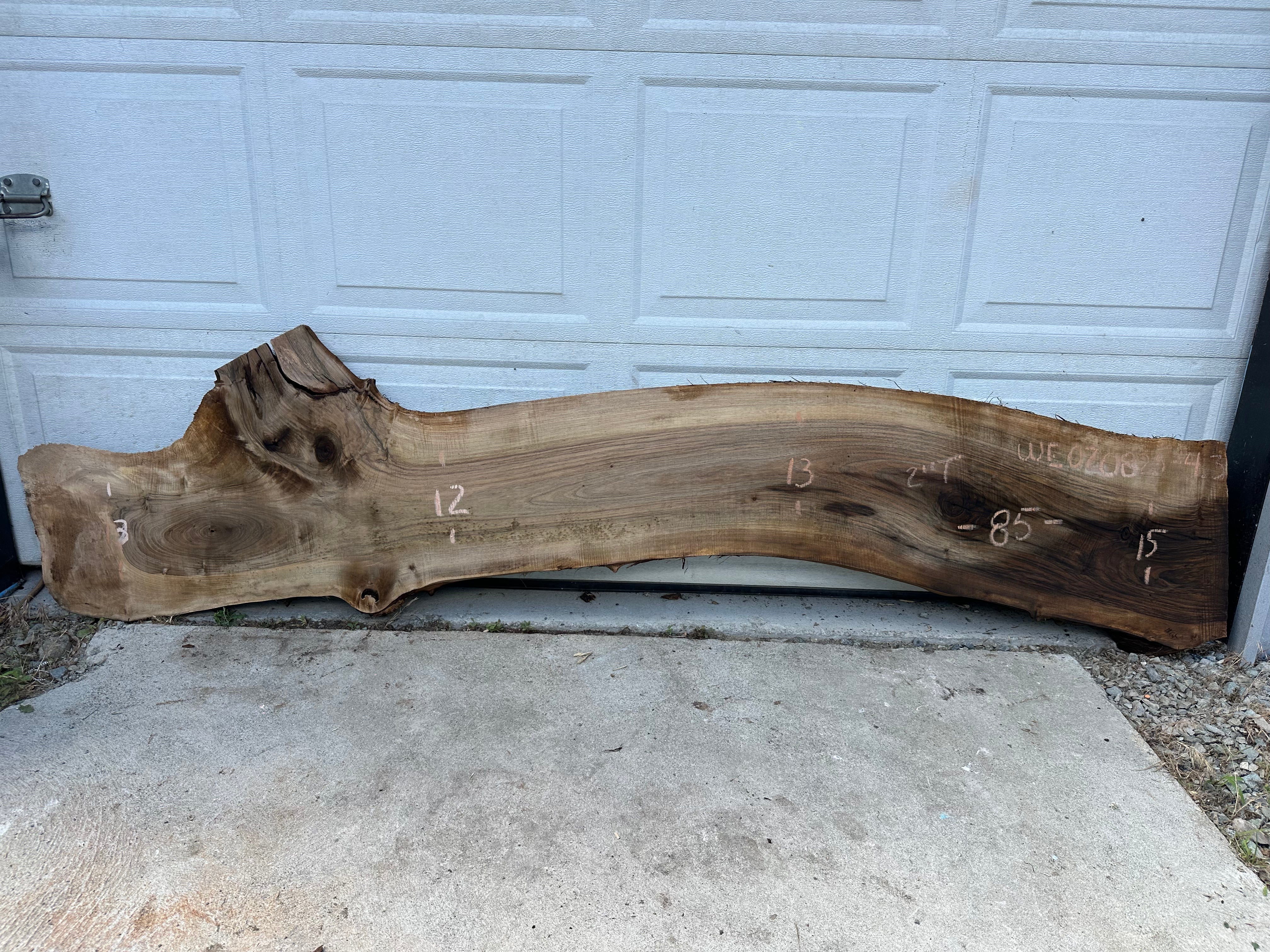 English Walnut - WE070825-4.3