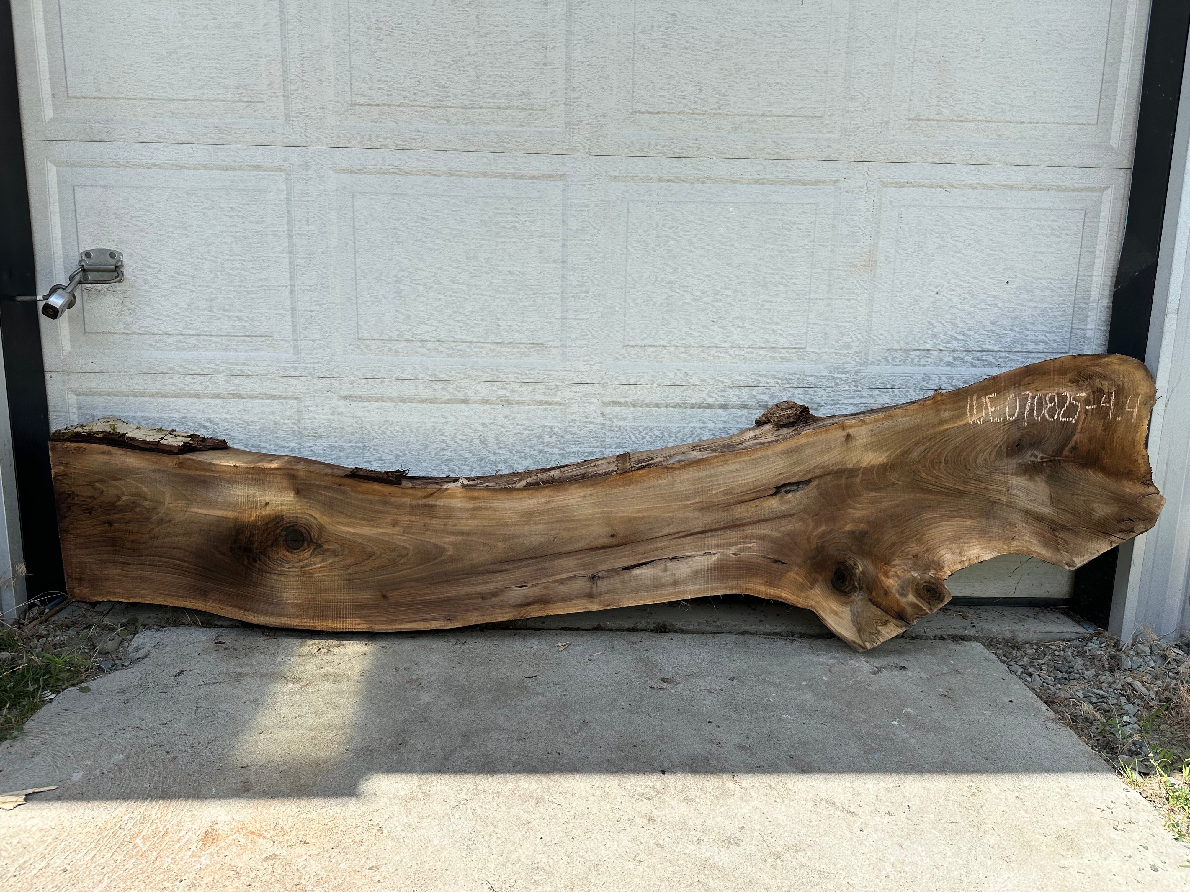 English Walnut - WE070825-4.4