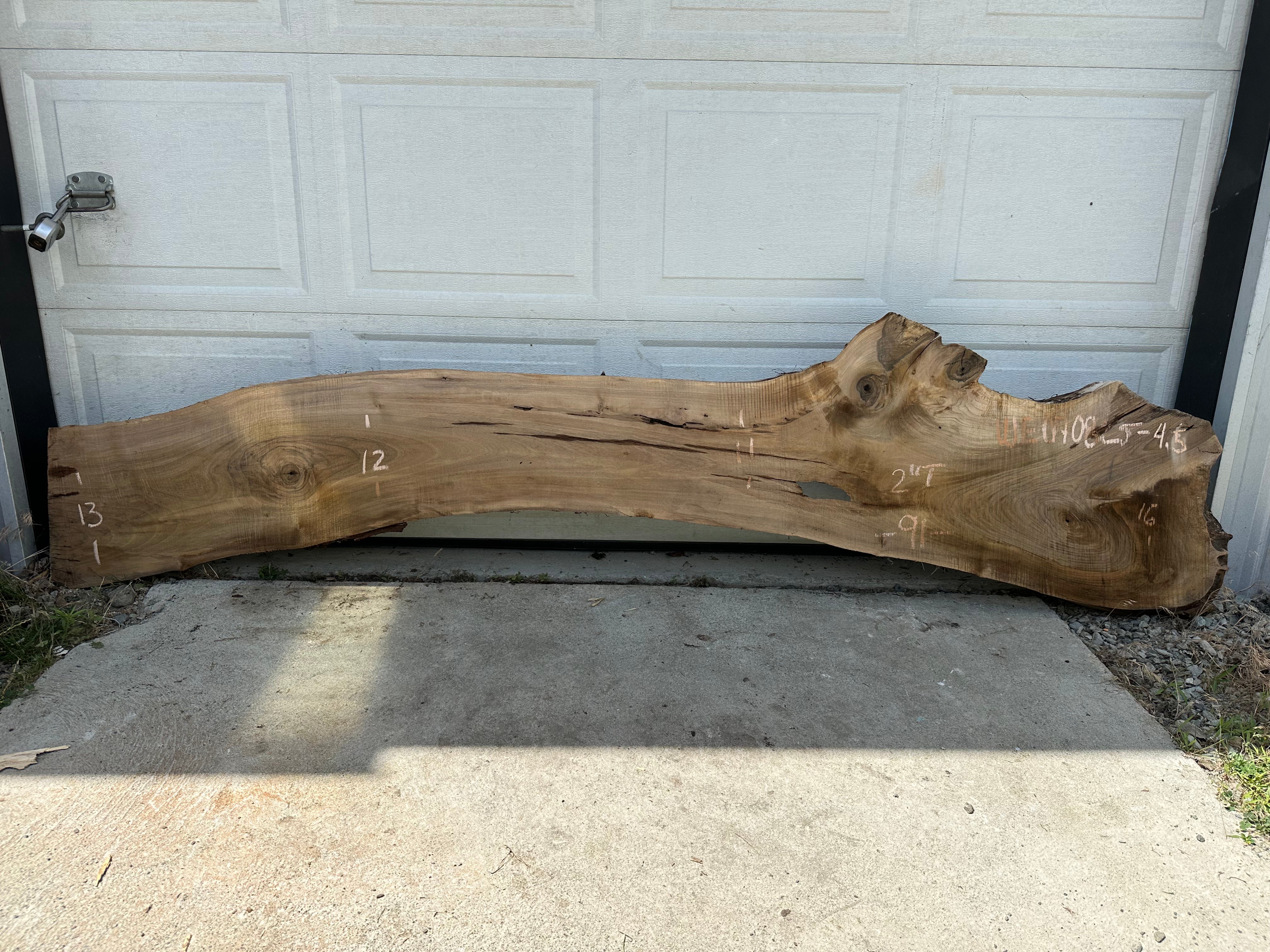 English Walnut - WE070825-4.5