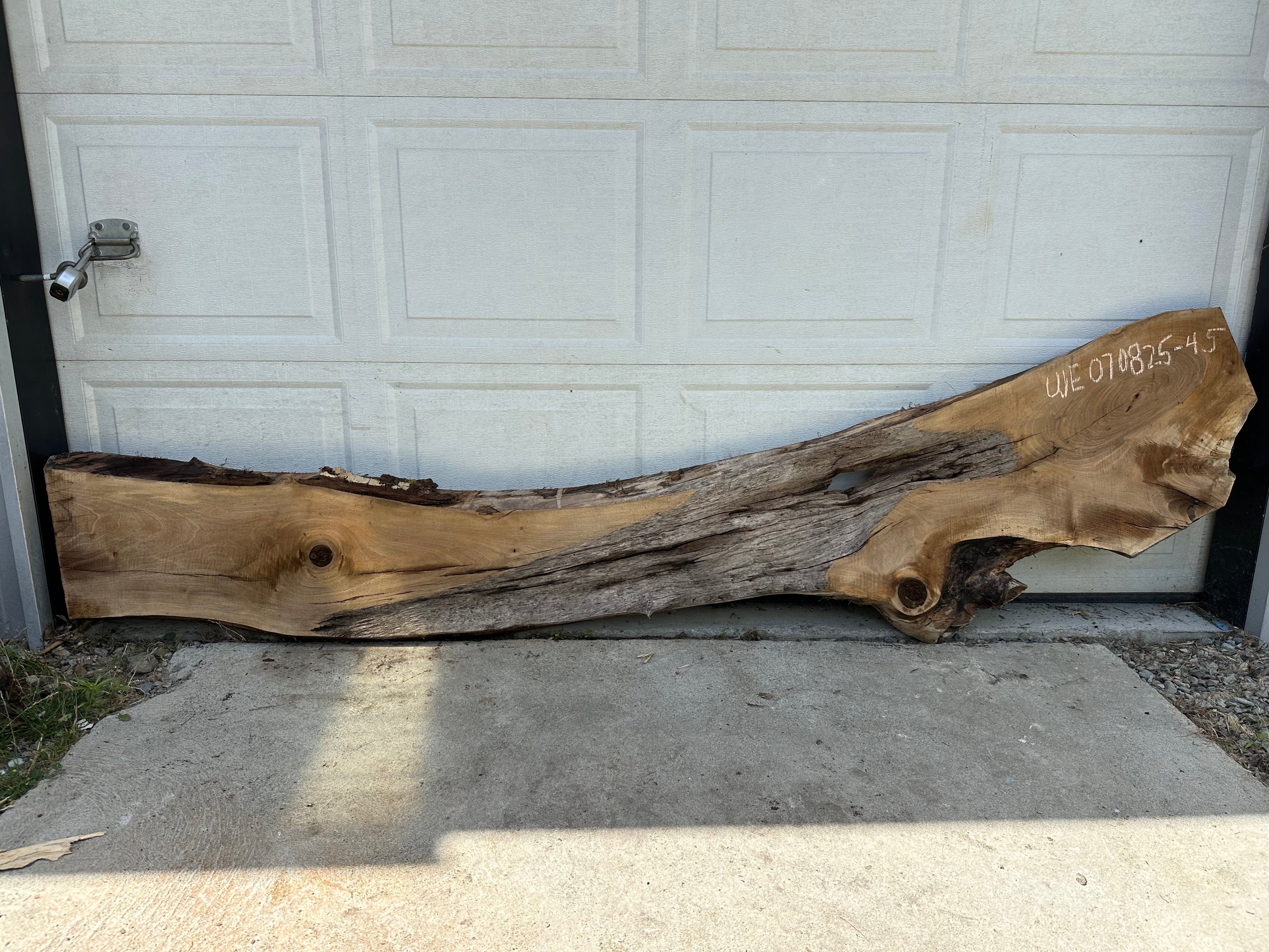 English Walnut - WE070825-4.5