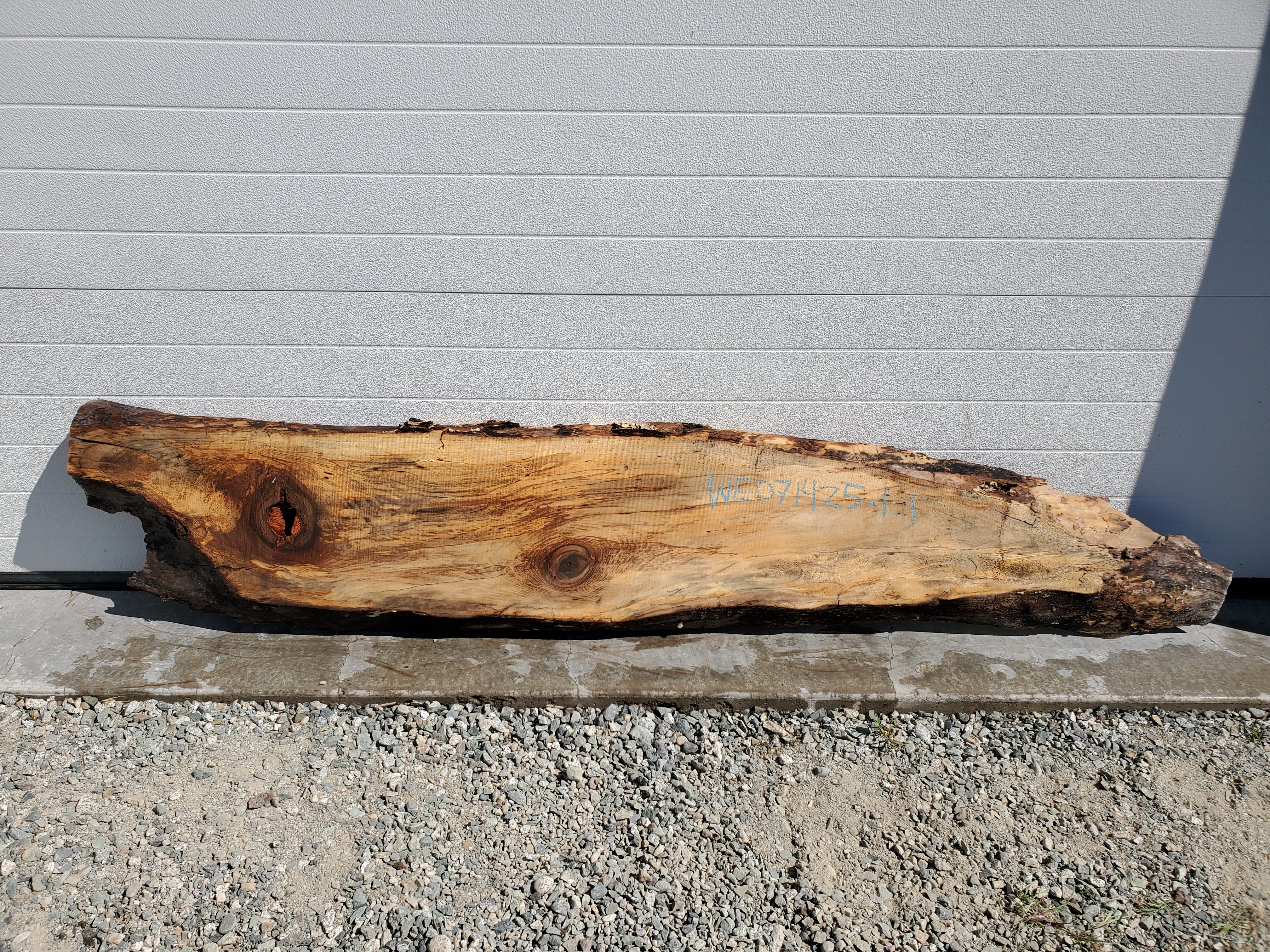 English Walnut - WE071425-1.1