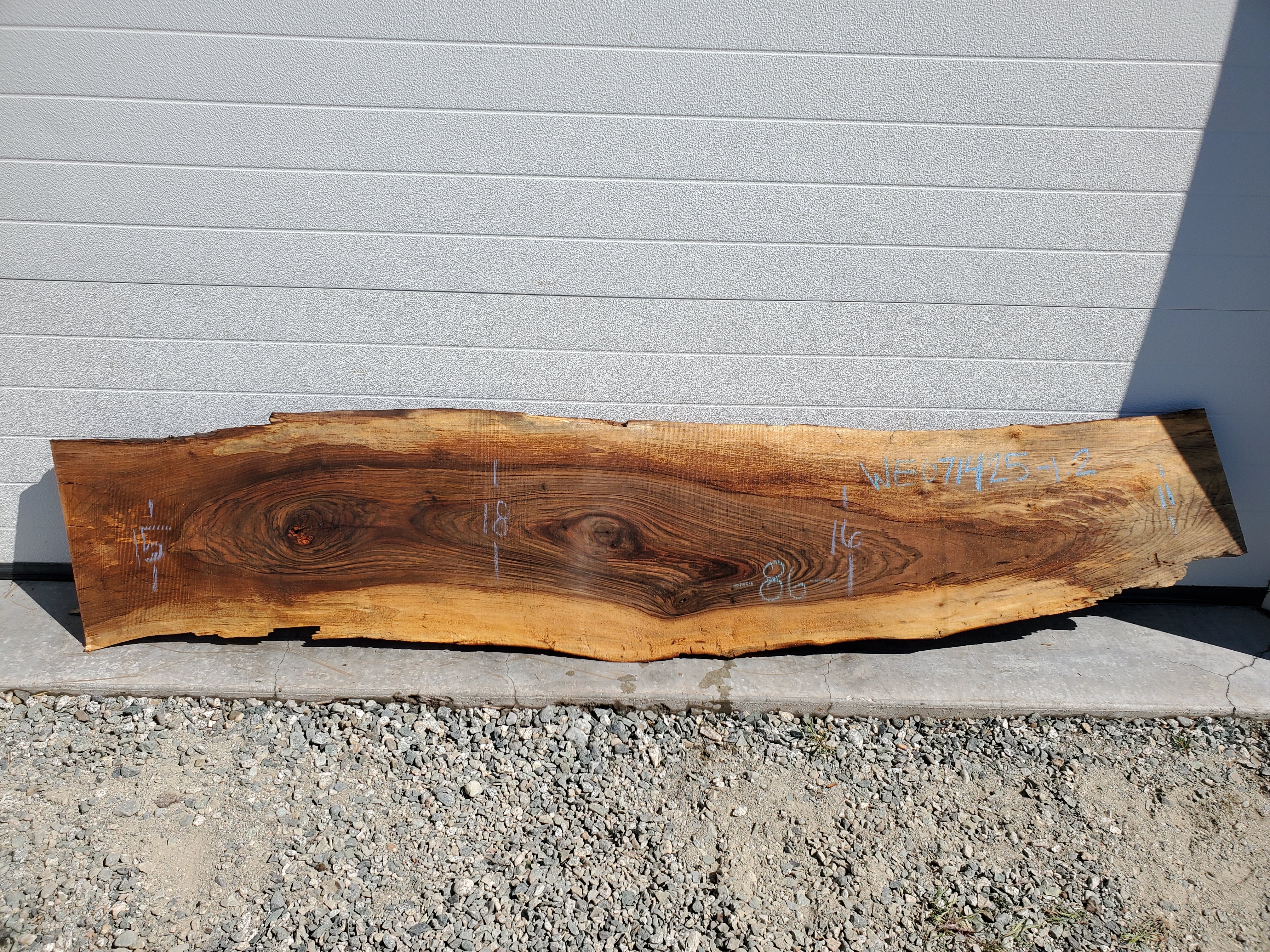 English Walnut - WE071425-1.2