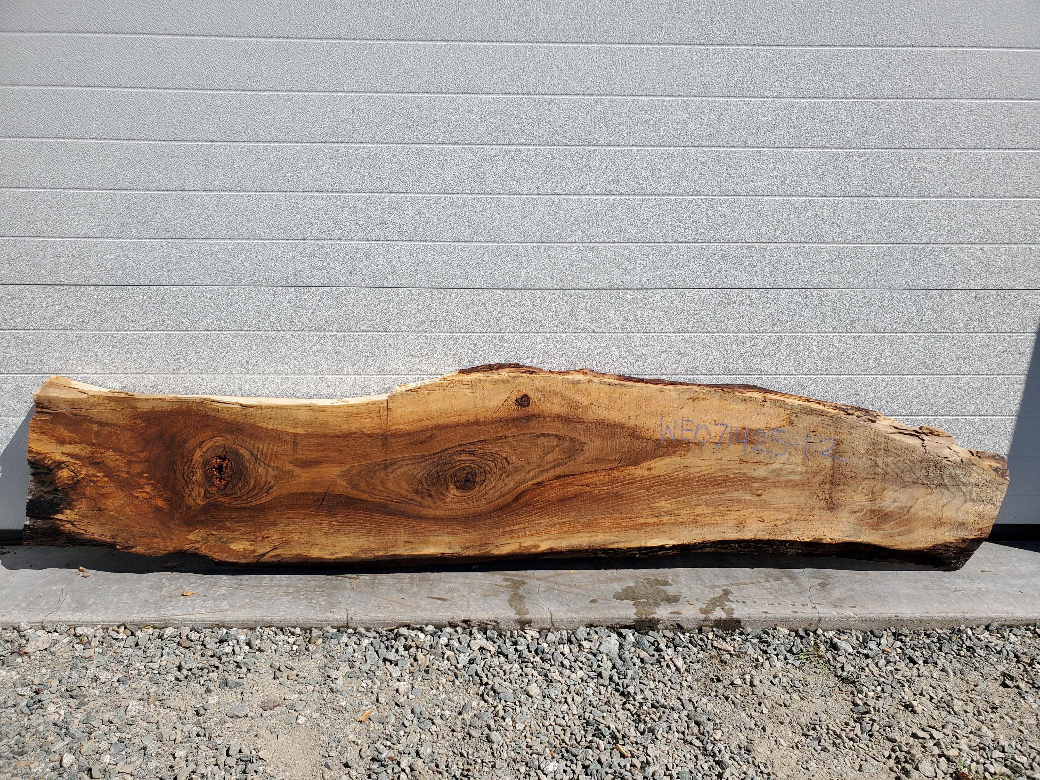 English Walnut - WE071425-1.2