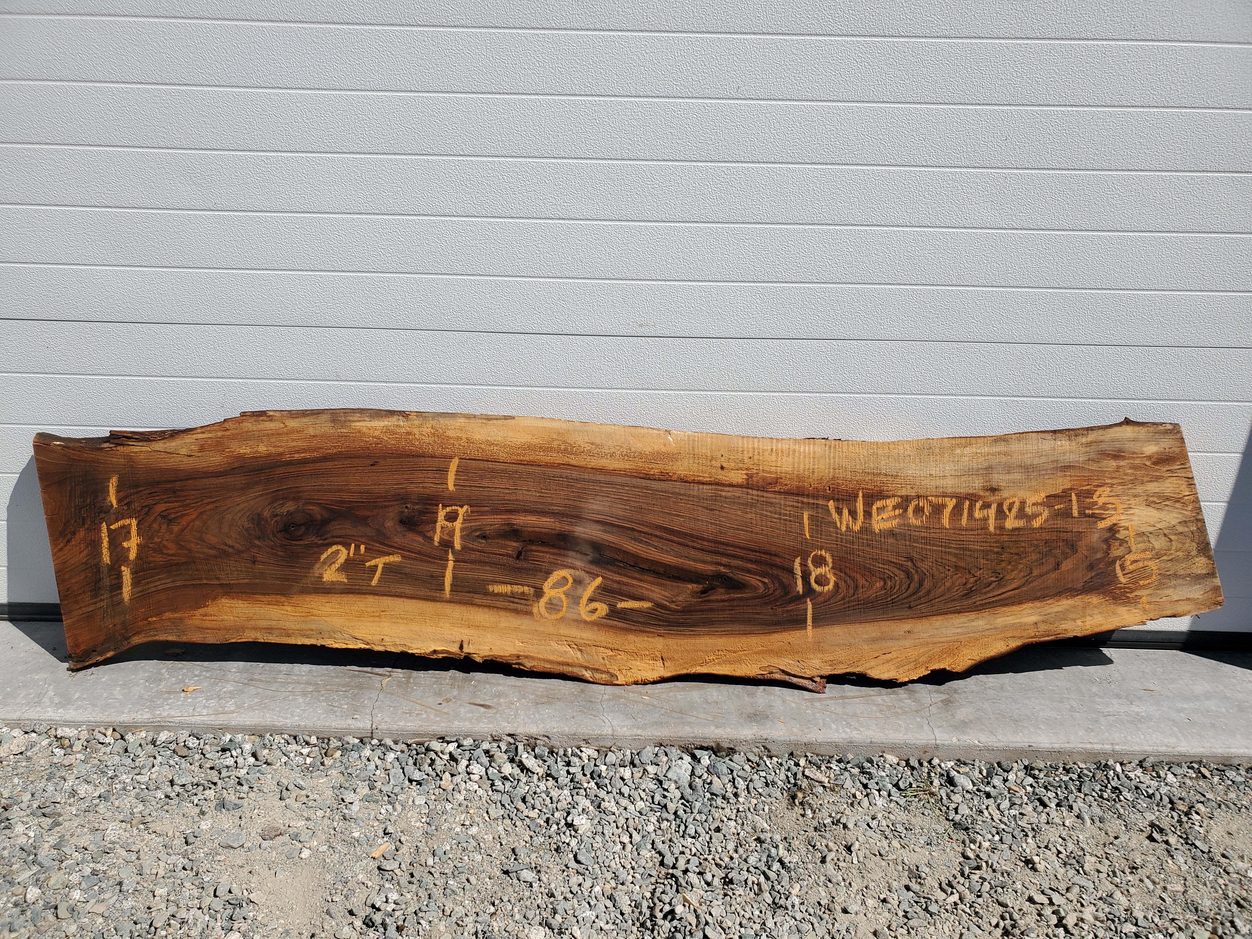 English Walnut - WE071425-1.3