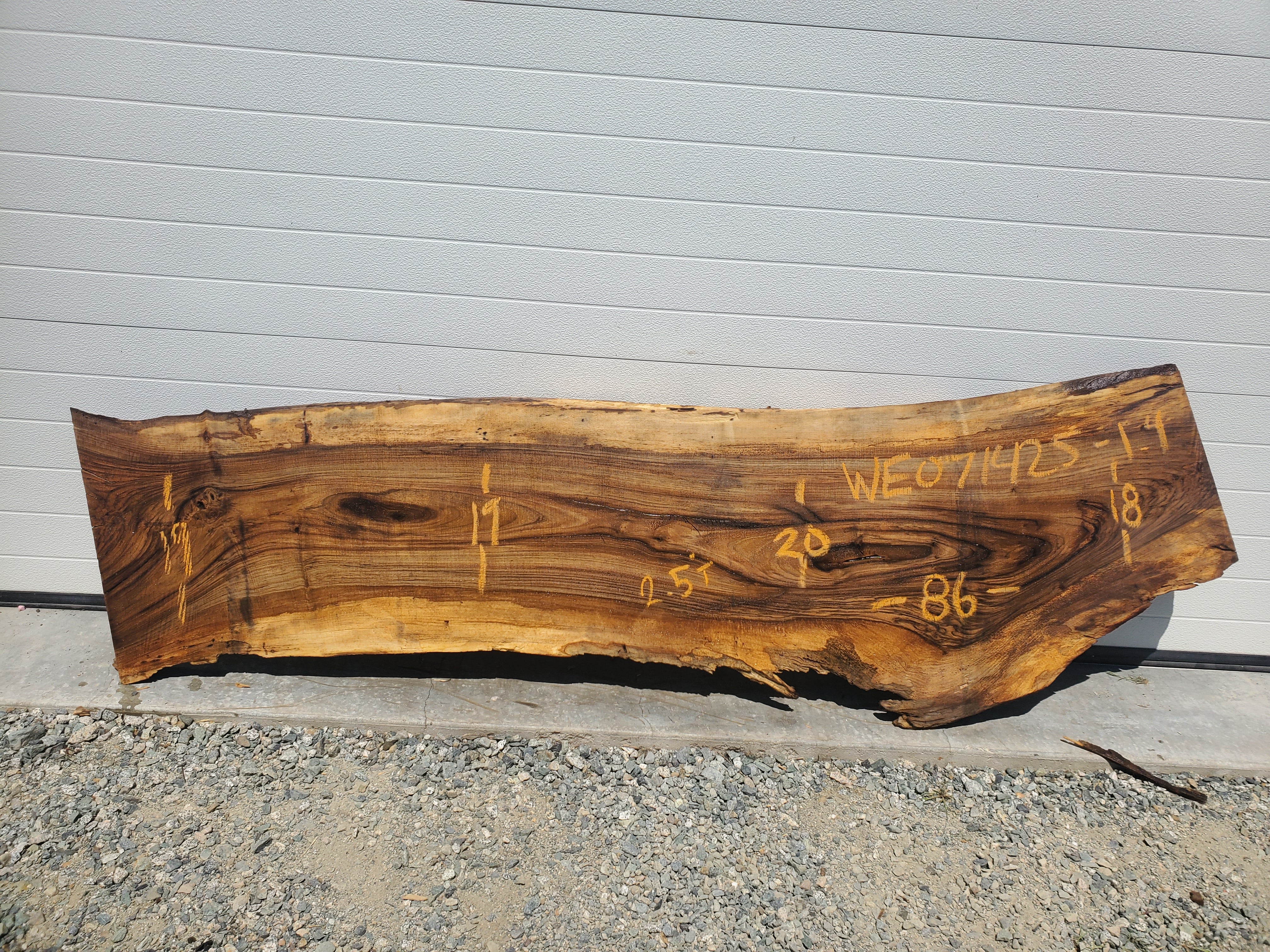 English Walnut - WE071425-1.4