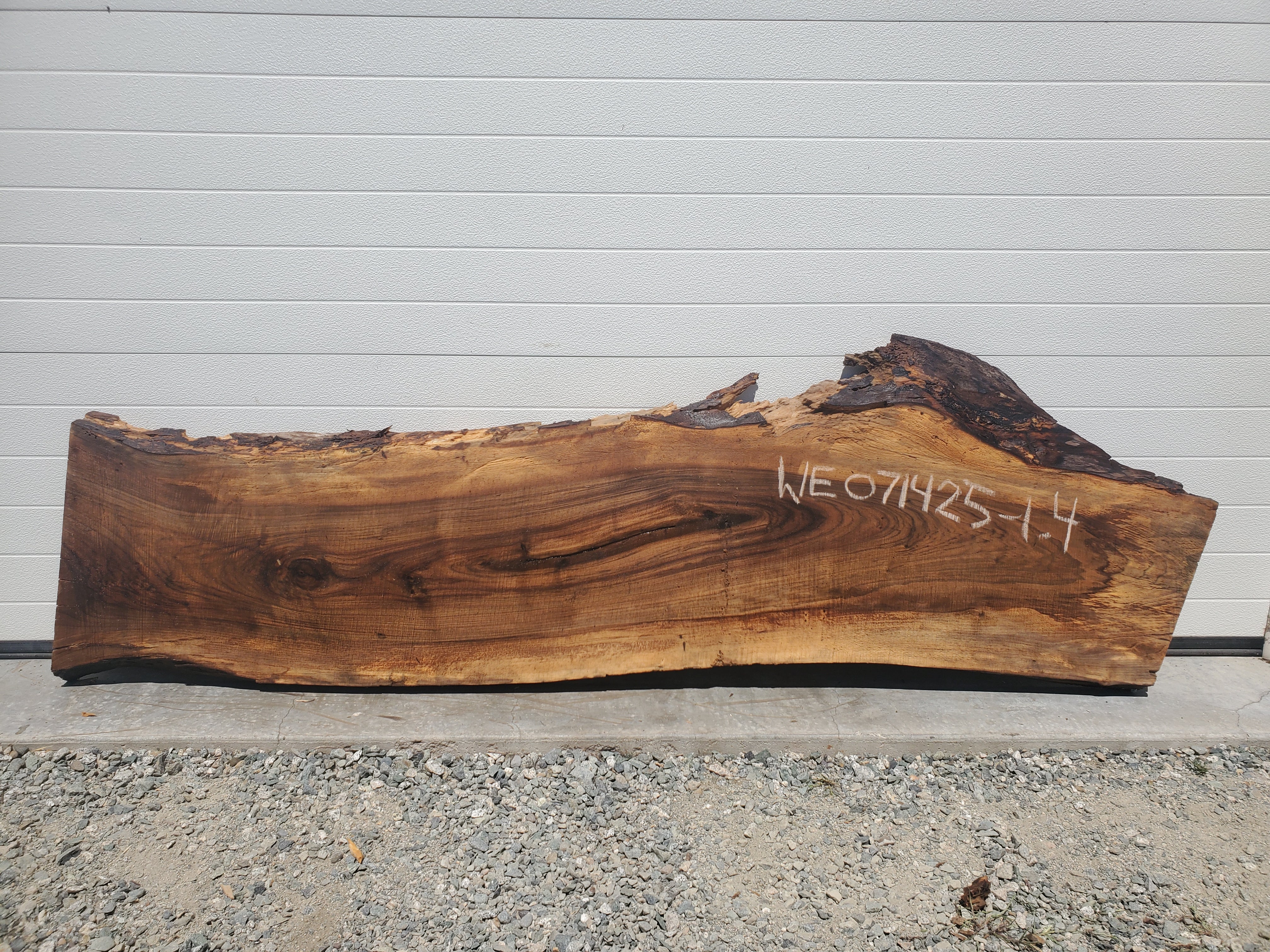 English Walnut - WE071425-1.4