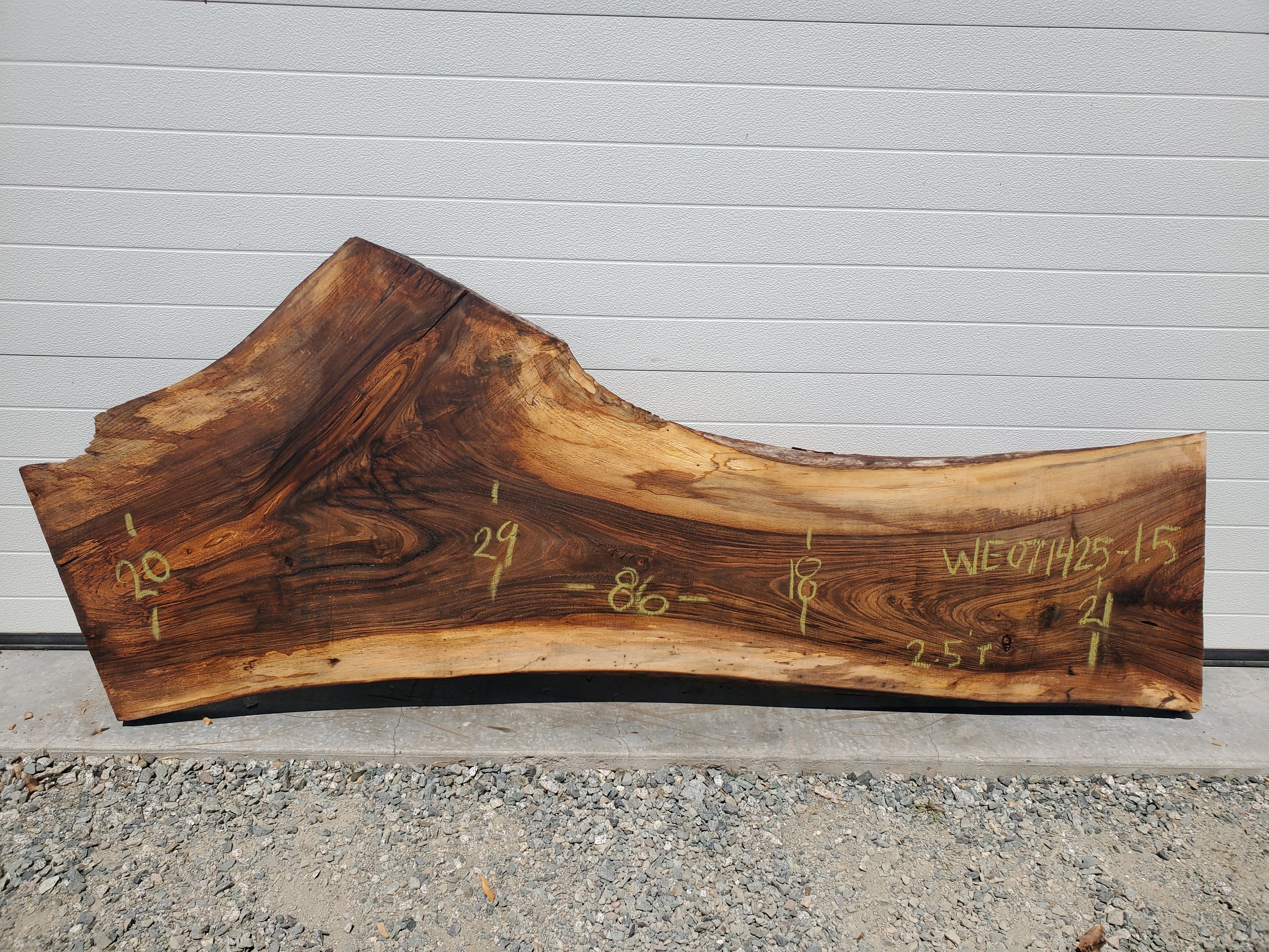 English Walnut - WE071425-1.5
