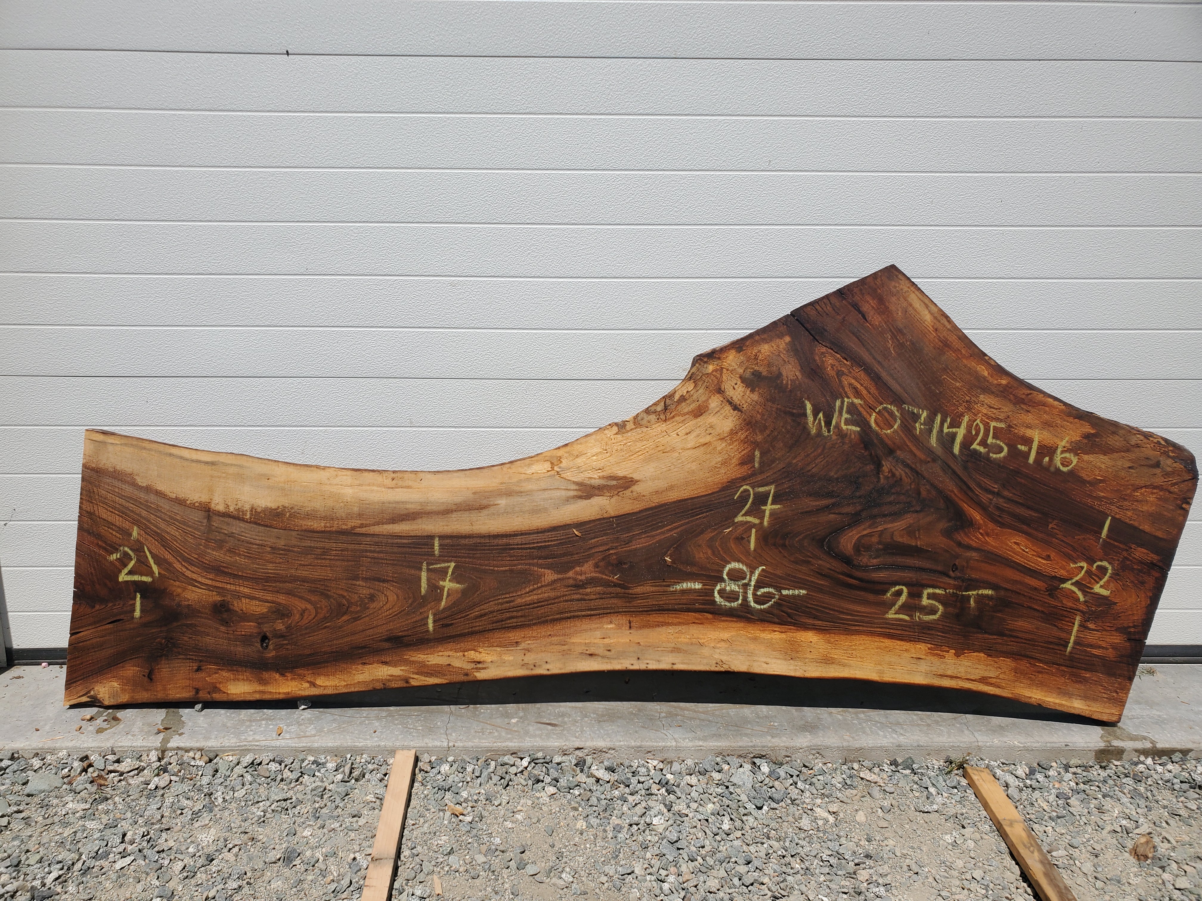 English Walnut - WE071425-1.6