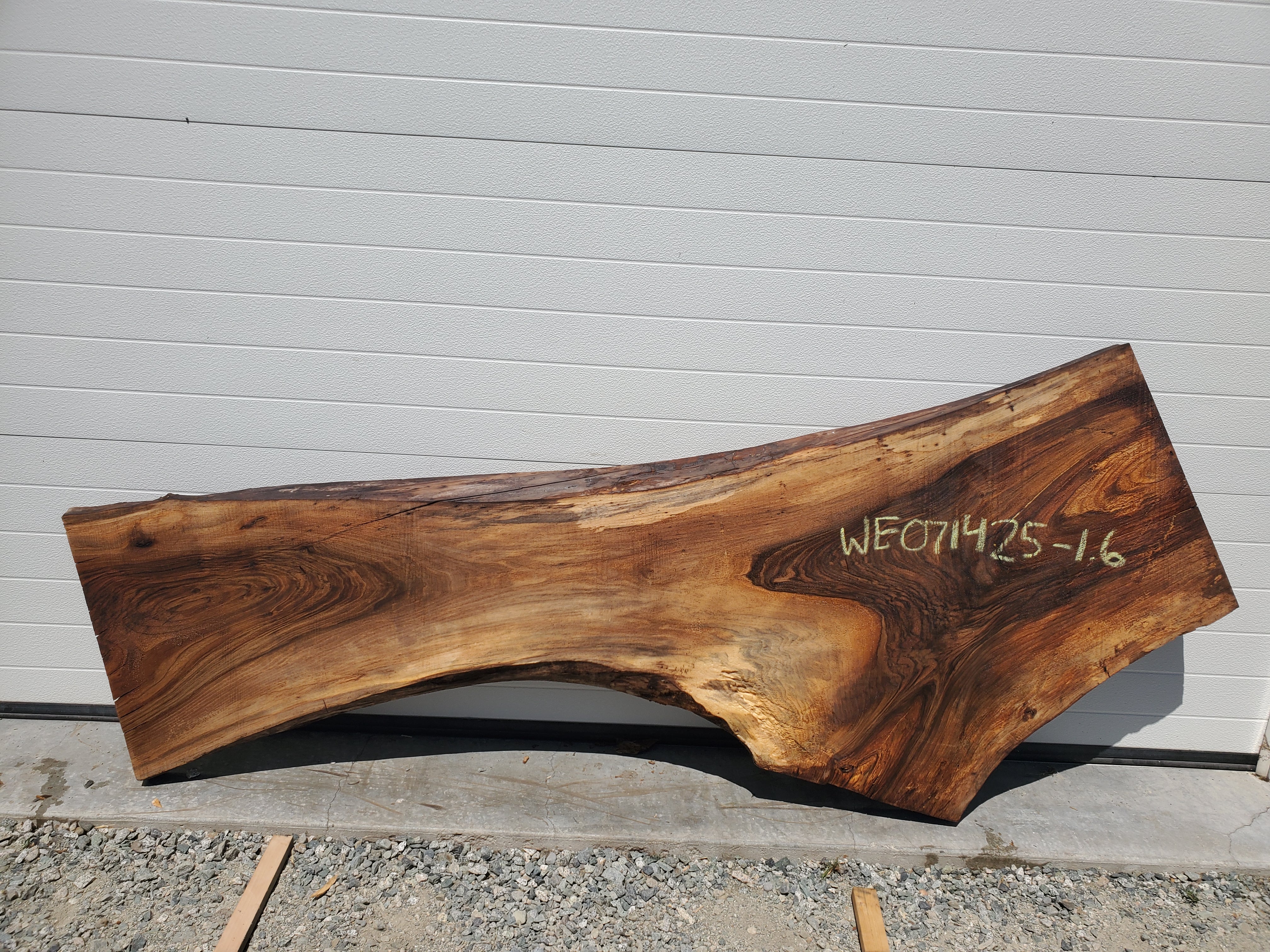 English Walnut - WE071425-1.6