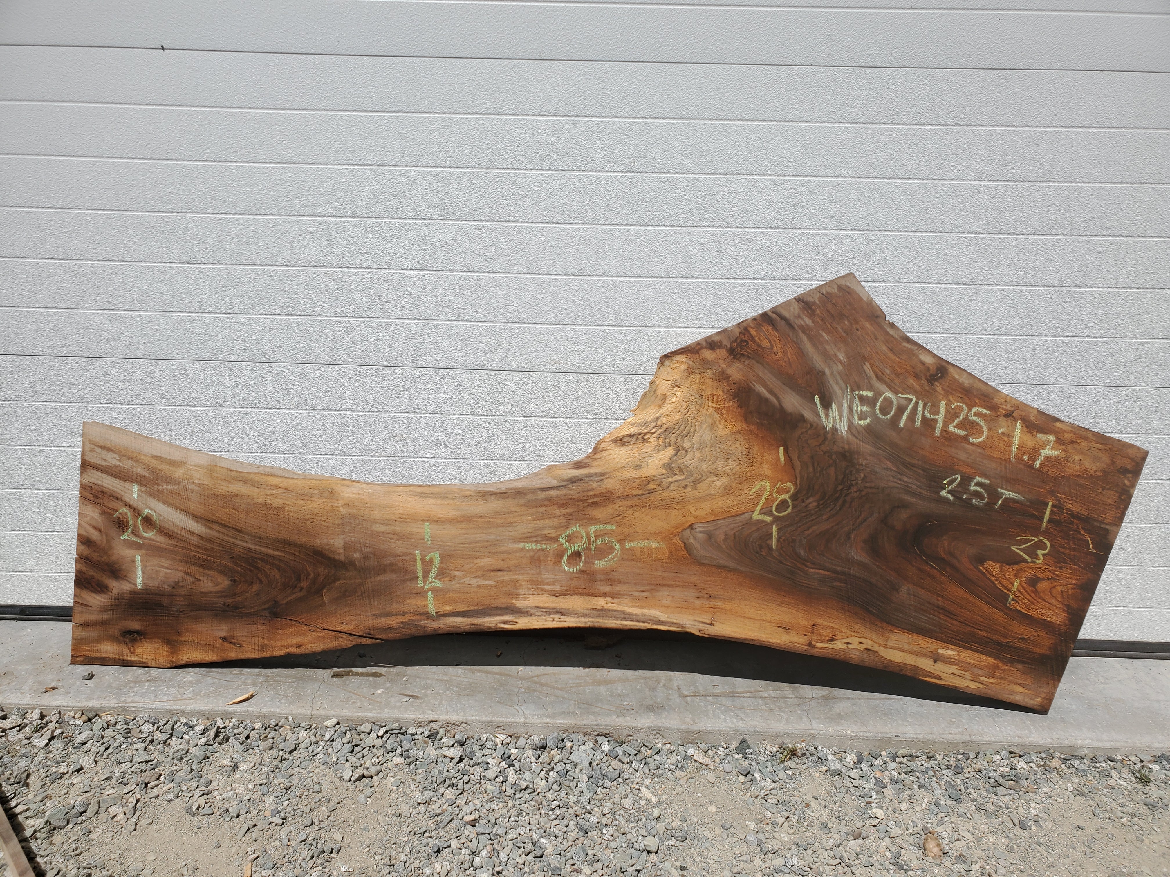 English Walnut - WE071425-1.7