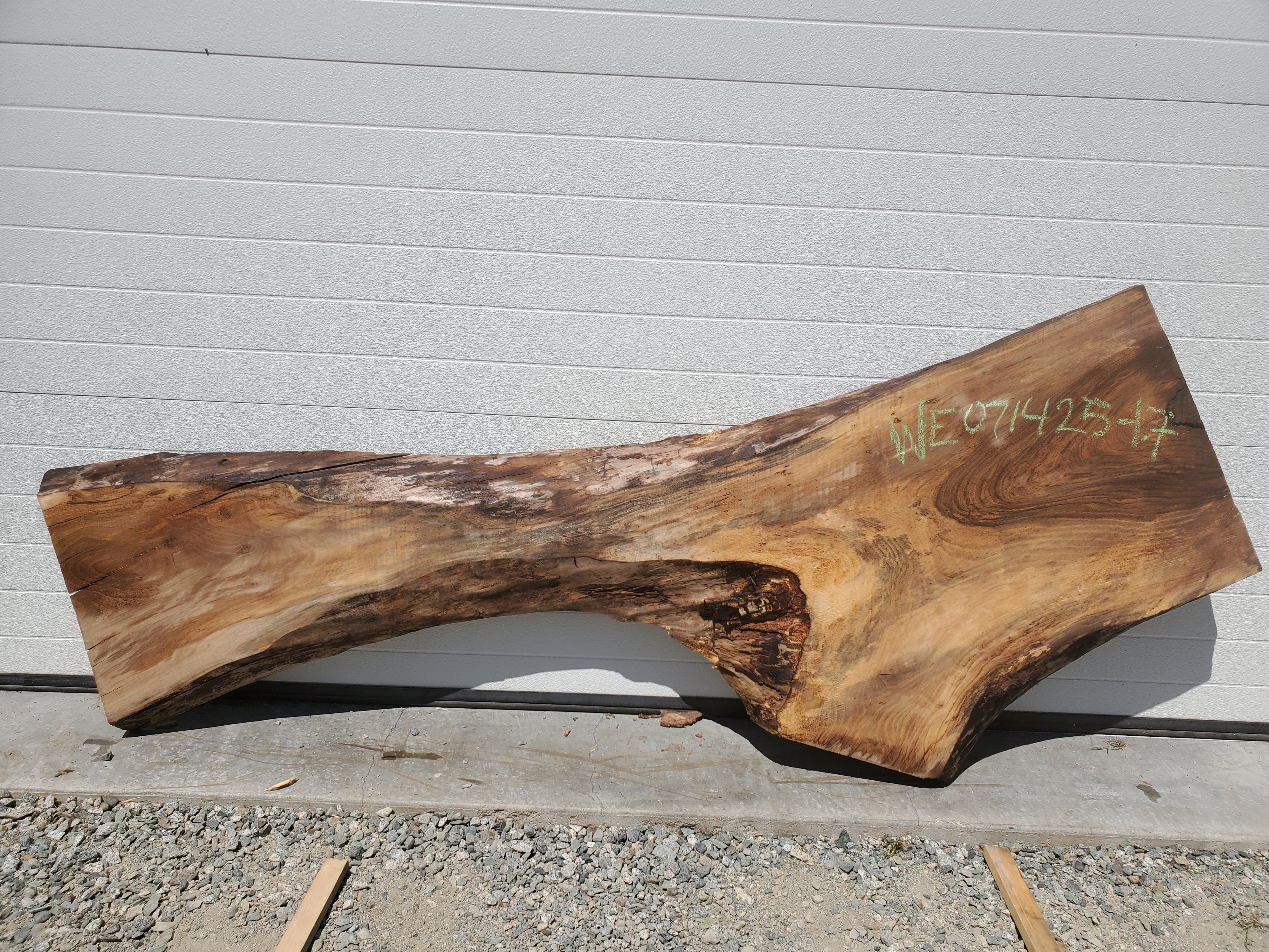 English Walnut - WE071425-1.7