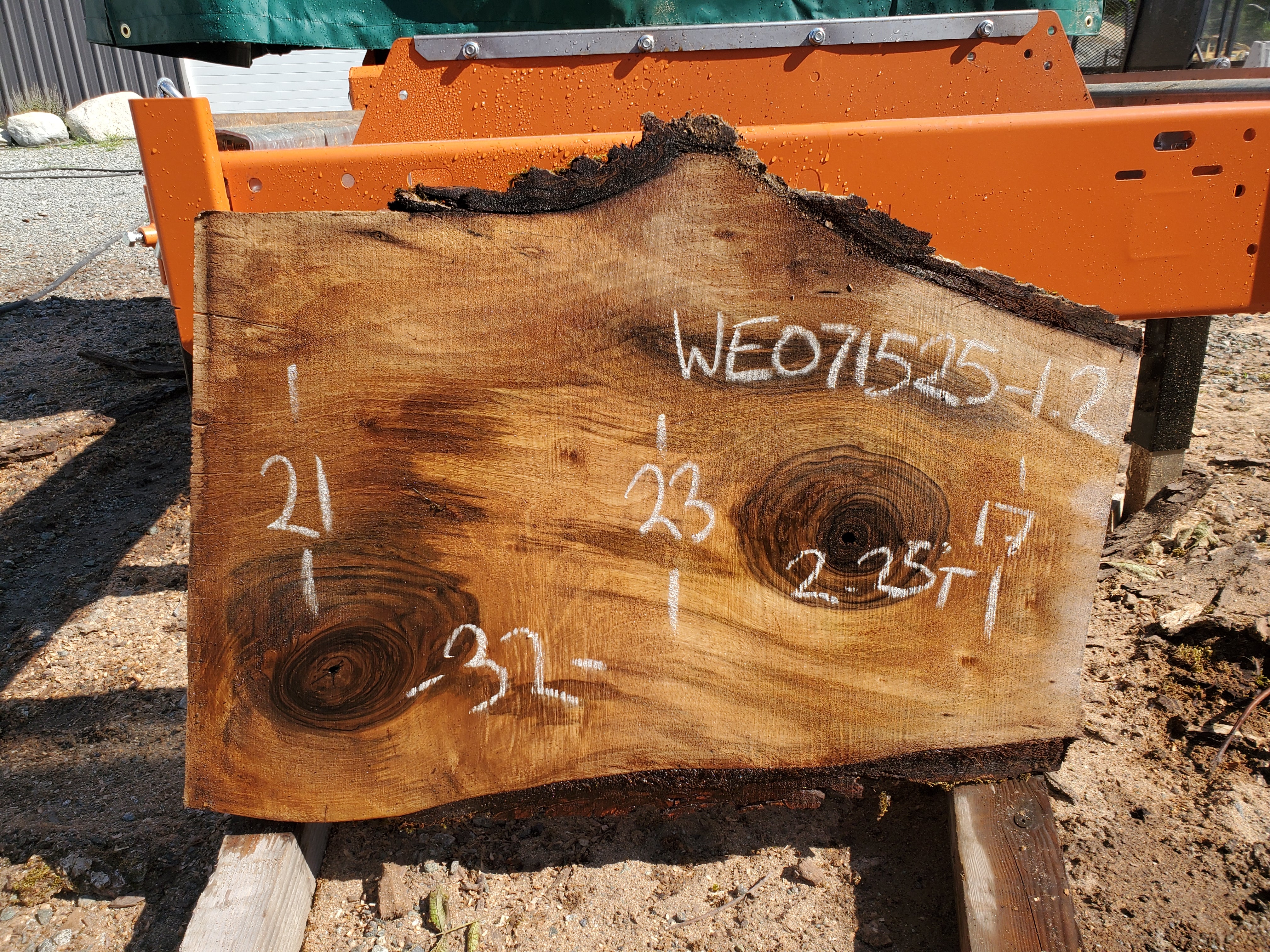 English Walnut - WE071525-1.2