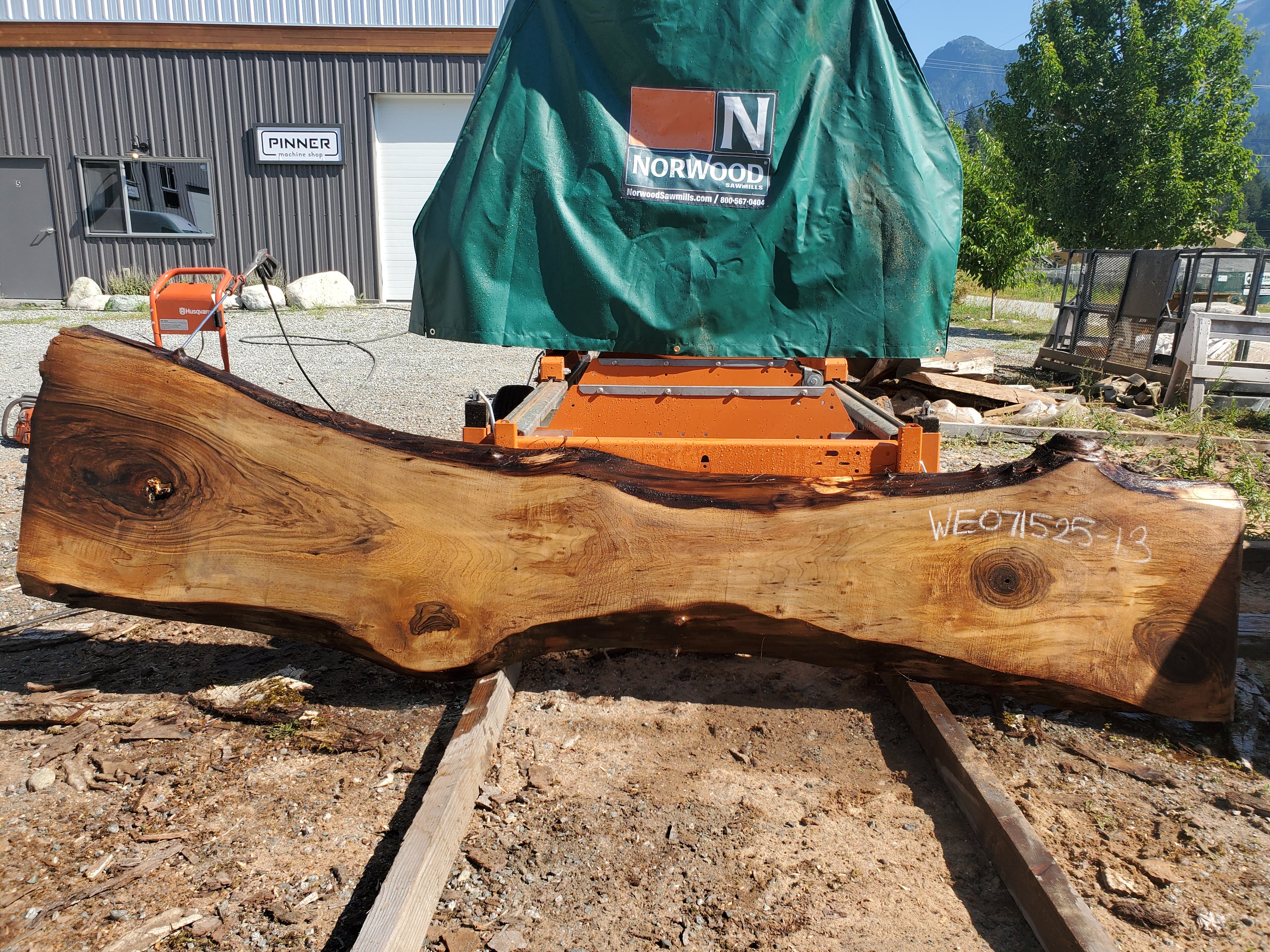 English Walnut - WE071525-1.3*